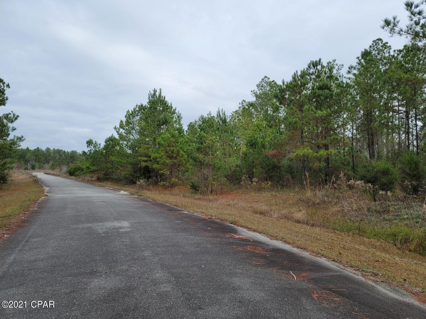 Photo of TBD Stone Bridge Marianna FL 32446