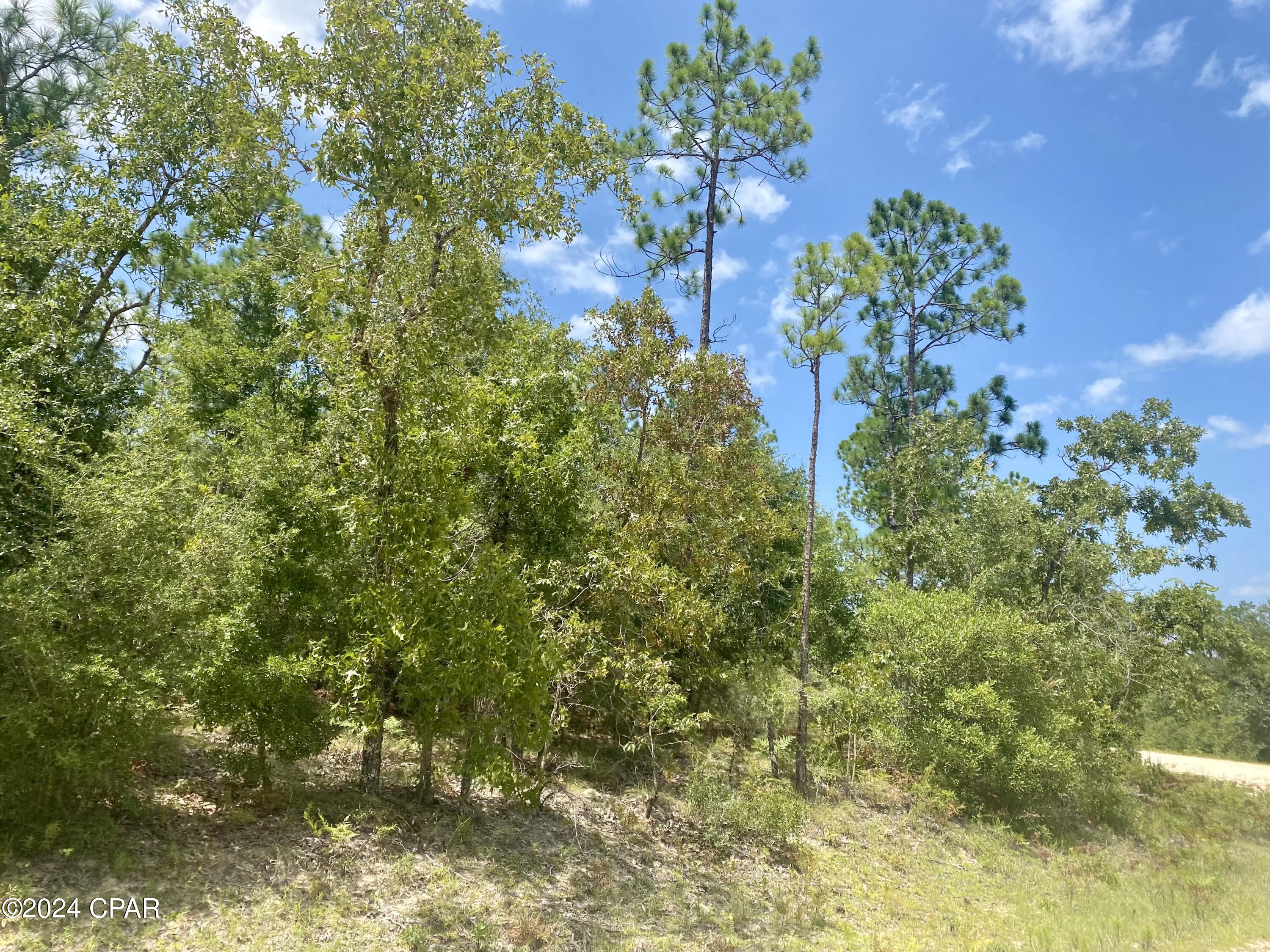 Photo of Lot 13 Noble Alford FL 32420