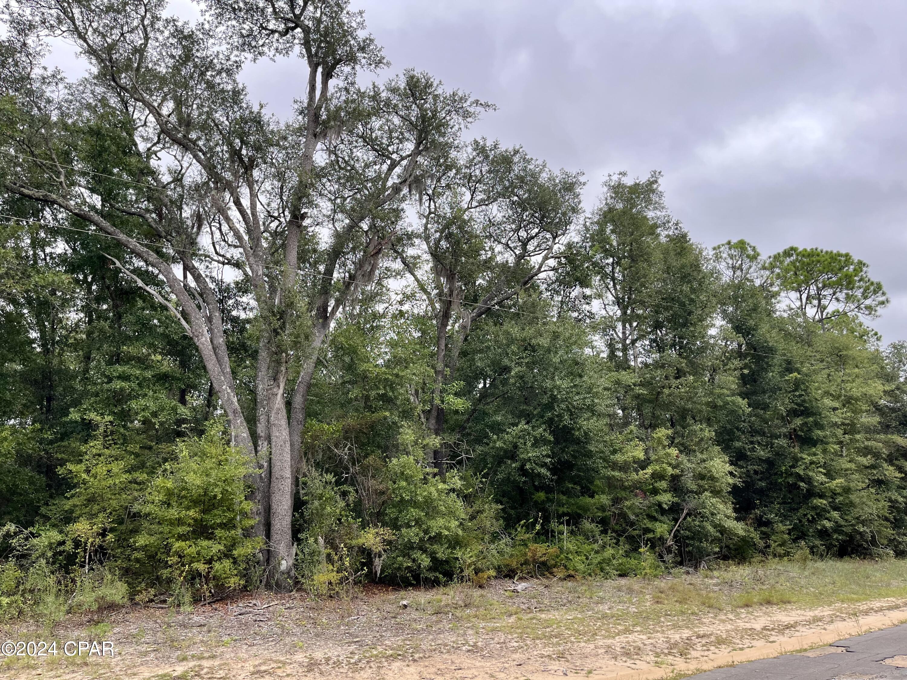 Photo of Lot 6 Cavalier Chipley FL 32428