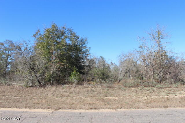 Photo of 0 Dumont Chipley FL 32428