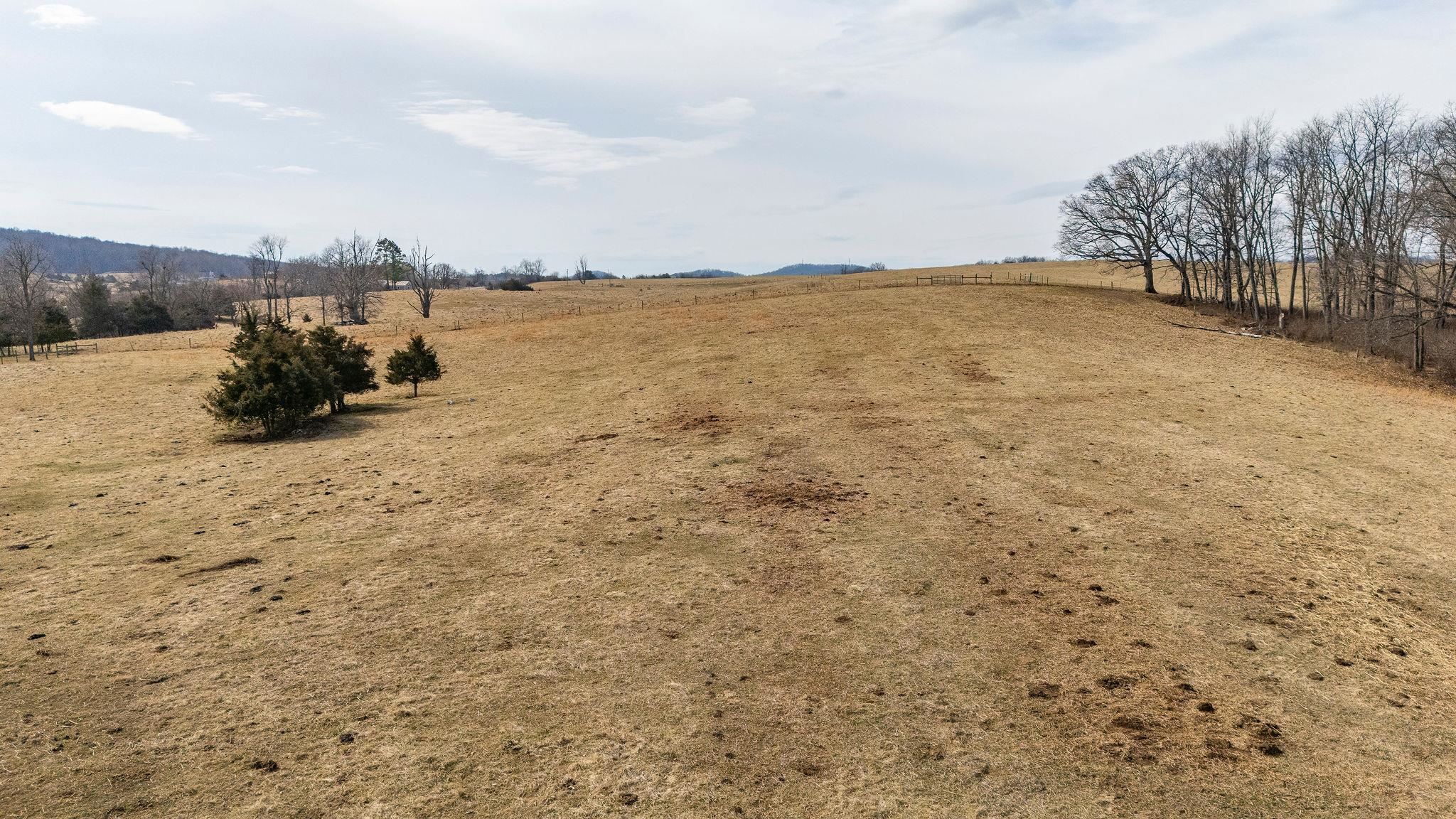 32.31 ac. Lee Hwy N