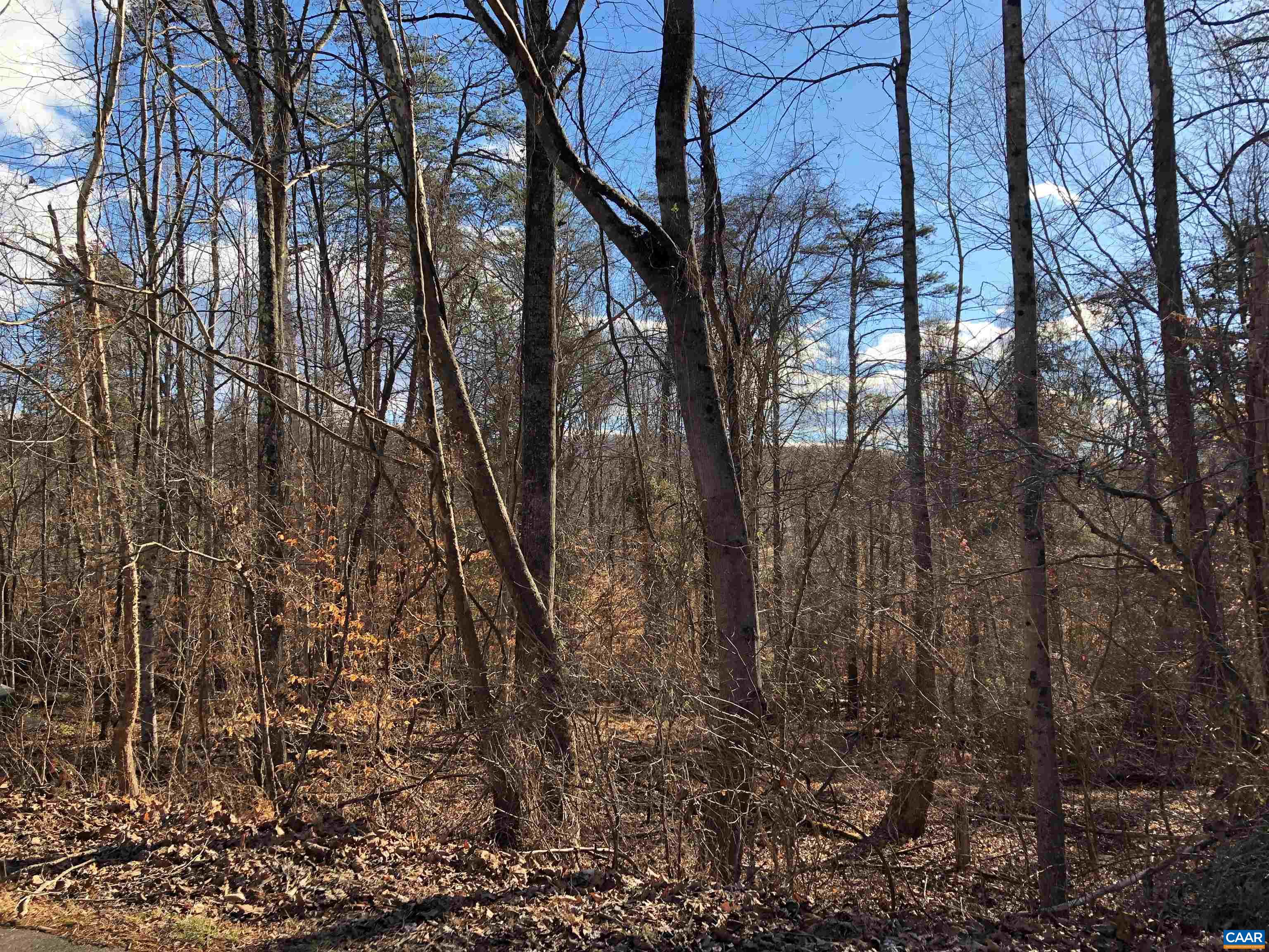 52A Redbud Ln