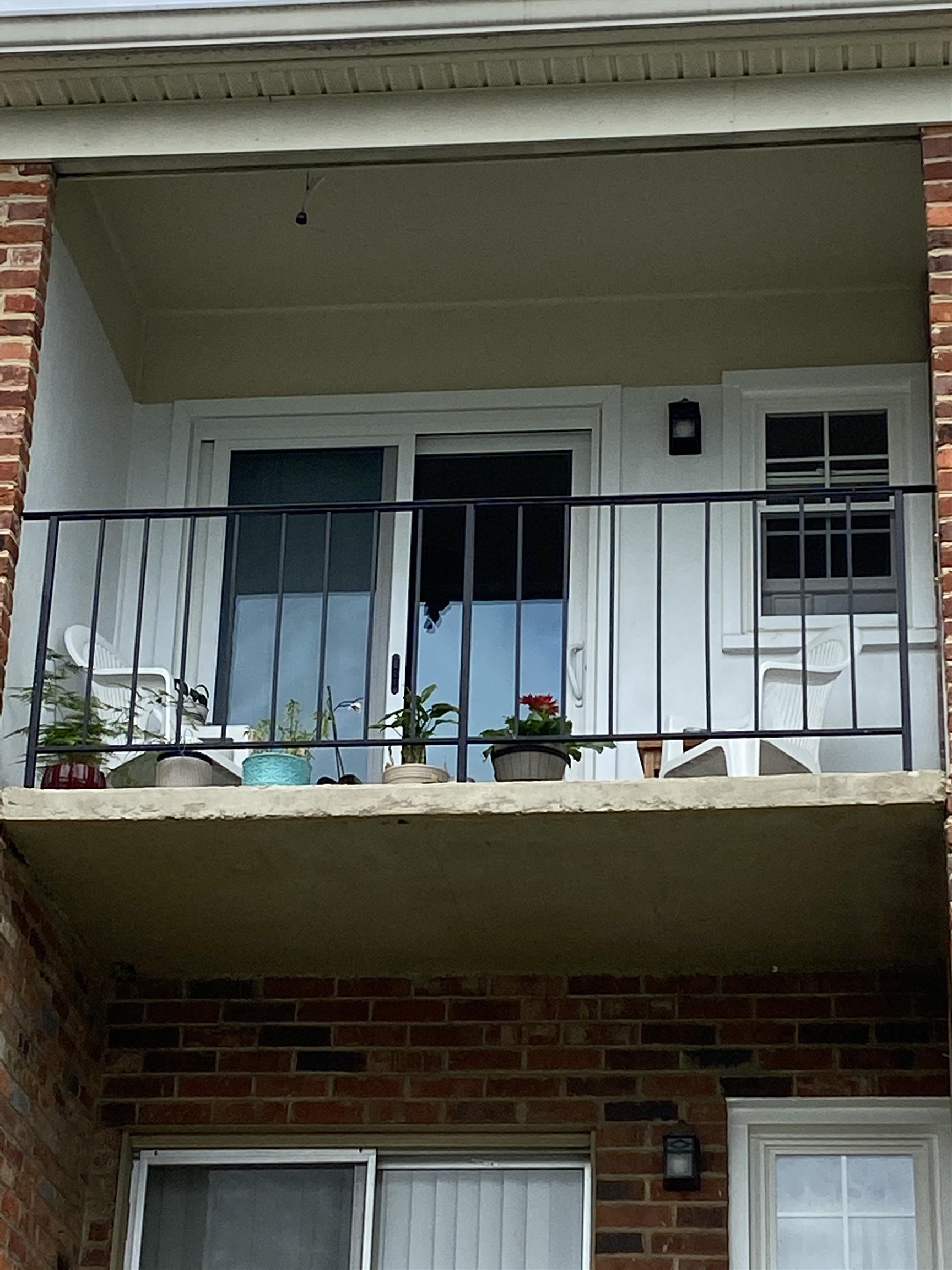 134 Hessian Hills Cir 3