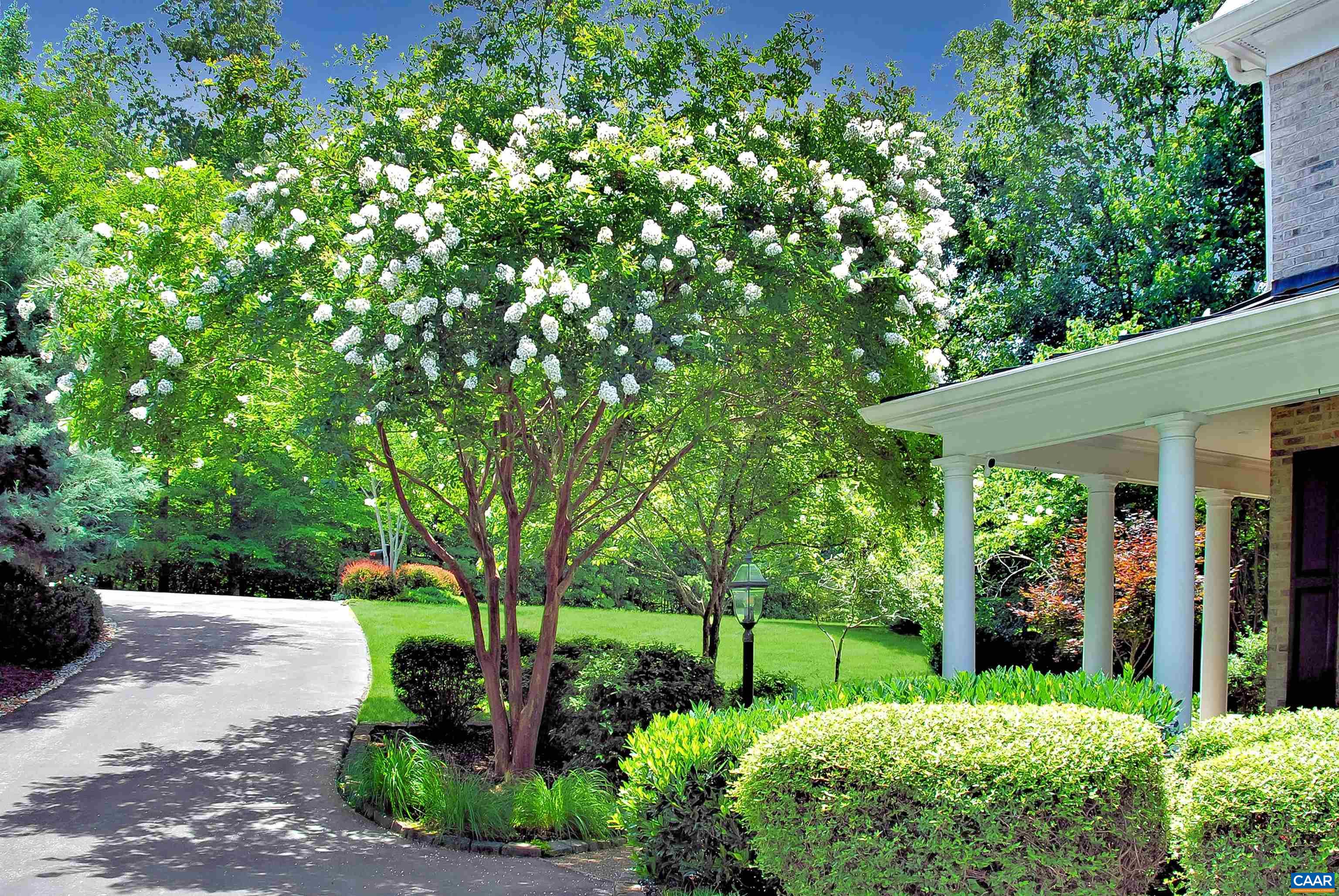 Extensively updated and meticulously maintained, this spacious home presents gracious living on a beautifully landscaped lot minutes to everything Charlottesville has to offer. The home is better than new with renovated baths, new decorator paint, smart home technology including internet connected heat pumps, internet connected lights, a smart security system, and more.  This is a beautiful home throughout sited on a gorgeously planted lot. The well appointed kitchen is open to the sunny breakfast room and family room with stone fireplace flanked by built-ins, flowing out to the composite deck overlooking the private backyard. The primary bedroom is elegant with a tray ceiling, and sitting area with bay window. The attached master bathroom with slipper tub and walk-in shower is simply stunning. Everywhere you look you will be entranced by the attention to detail.  Don't miss the complete list of features and online brochure in the document section.