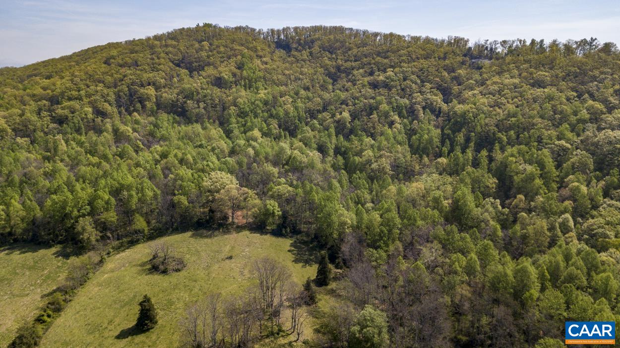 Check out this incredible opportunity, 436 Acres North Garden Farm, first time on the market. 3 Houses, Spectacular views, a beautiful combination of gently, rolling pastures, and a wooded ridgeline with trails and more breathtaking views. Fascinating Historical background, the first 96 acres, a Classic Virginia Farmhouse, and a two-story house, were purchased by Luther (Bud) Thomas, a pitcher with the Detroit Tigers, using his signing bonus, thus becoming the Thomas Dairy Farm. Purchased in July of 1935 and operated as a dairy farm until 2006. In July 1990 the Daily Progress reported, that the farm produced a 1000 gal of milk per day. Currently, the three homes are rented, and the farm is leased for cattle. The property is fenced and cross-fenced into several separate pastures with livestock waters, great for separating animals. Tranquil pond and fabulous trails.  So many great options and opportunities to expand your dreams and own a piece of paradise.