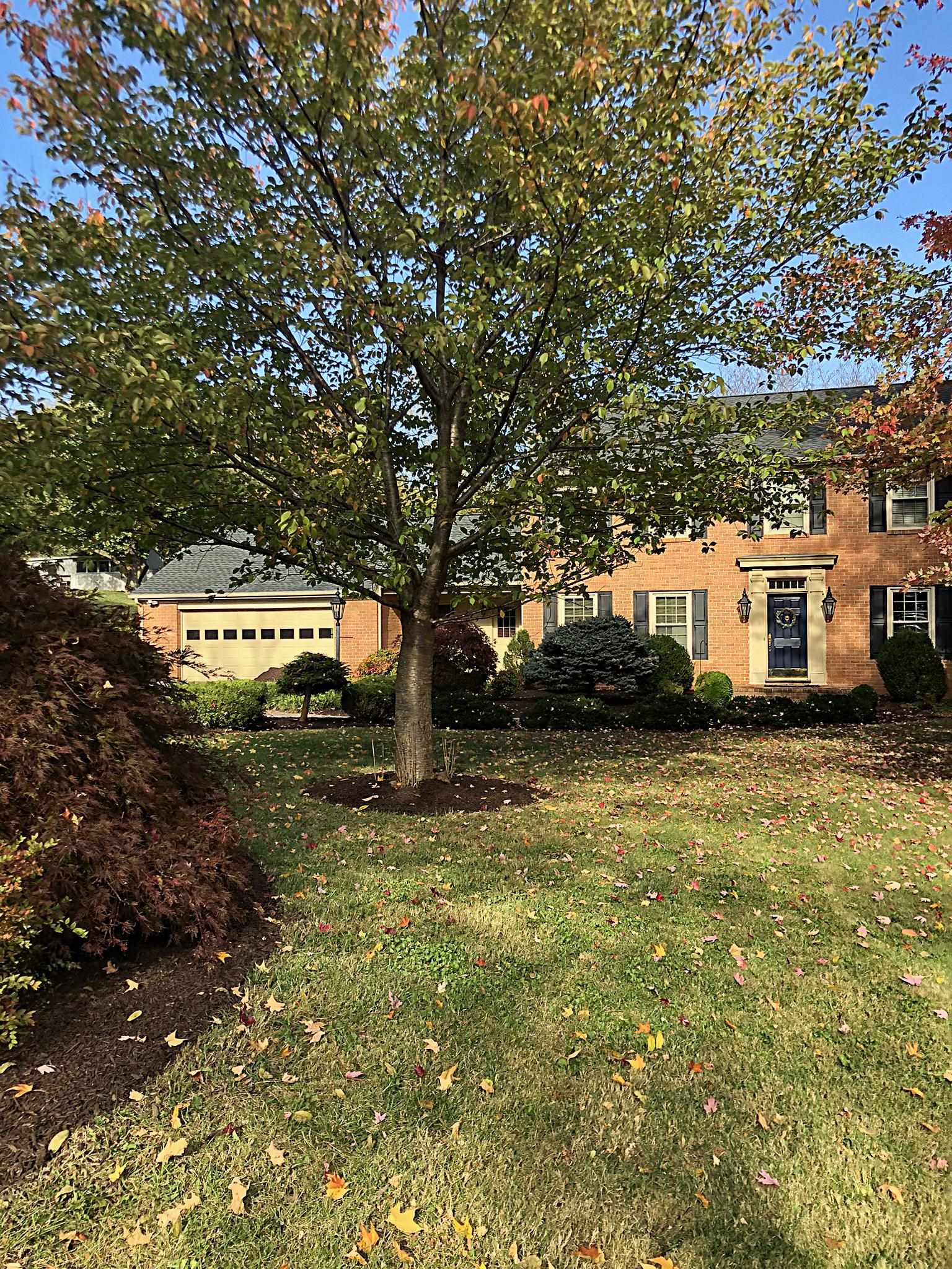229 Taylor St