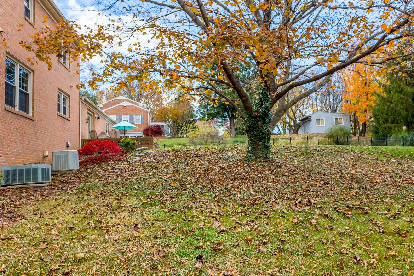 229 Taylor St