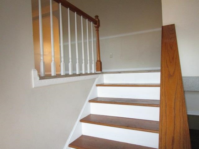 55 Wolf Trap Cir