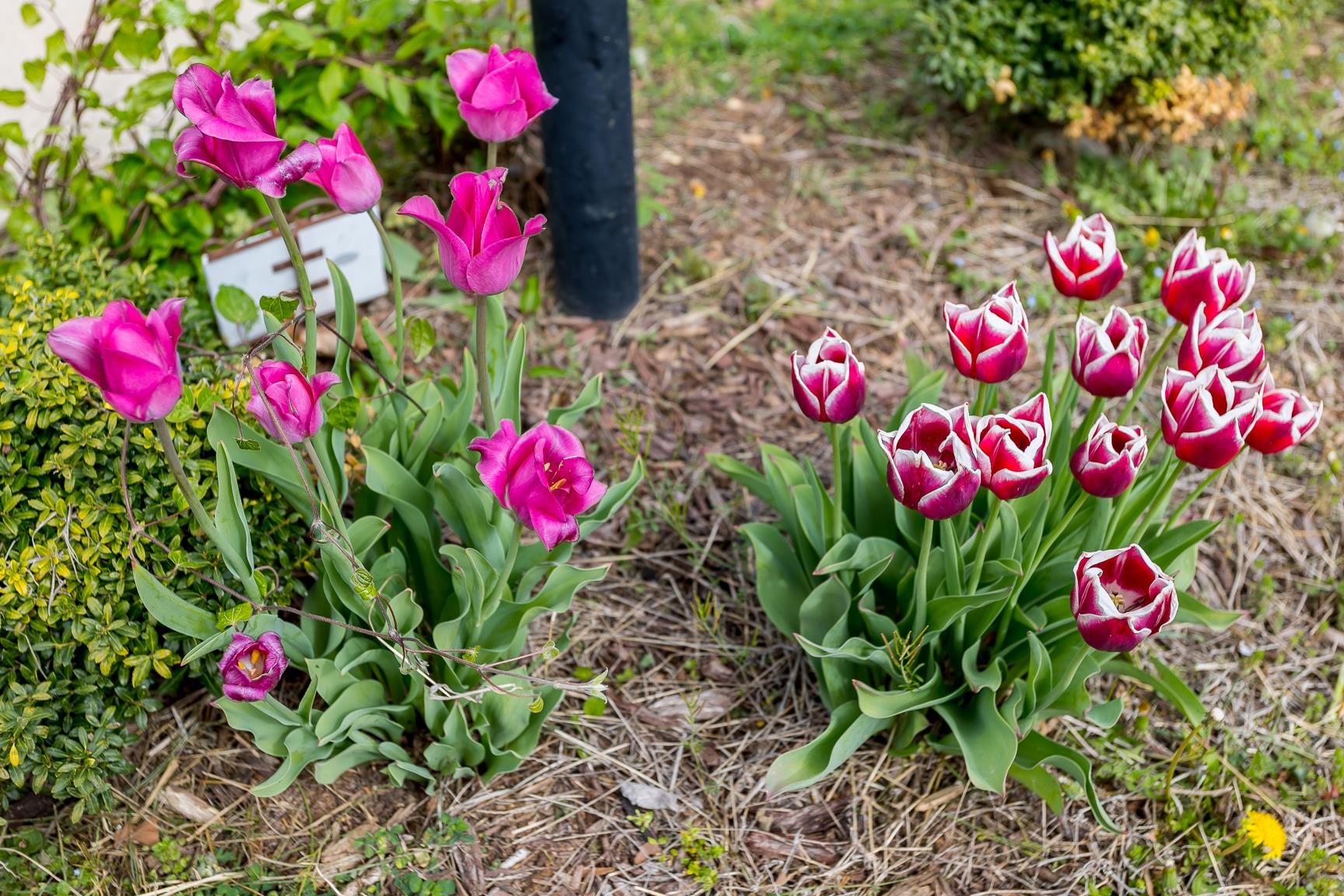 403 Augusta Farms Rd