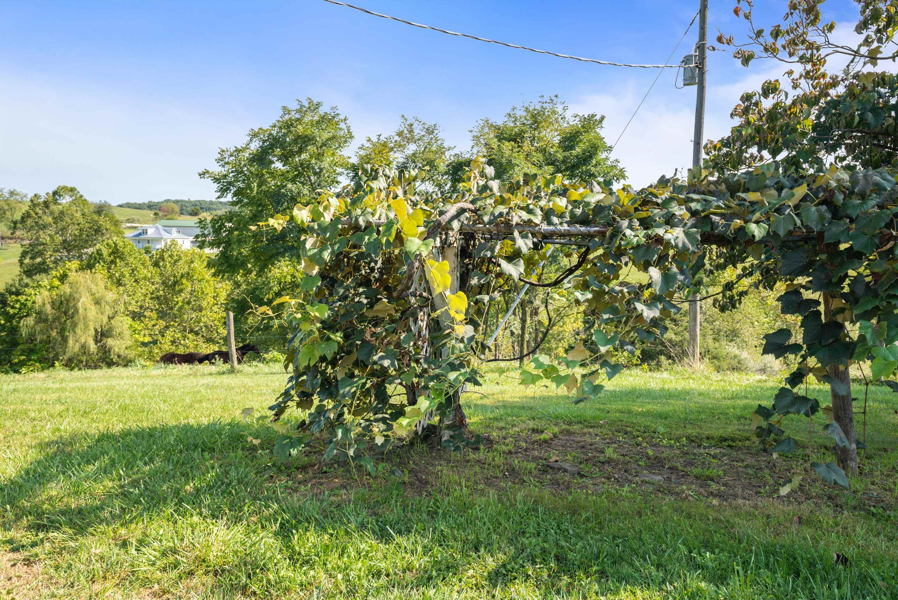 331 Whiskey Creek Rd