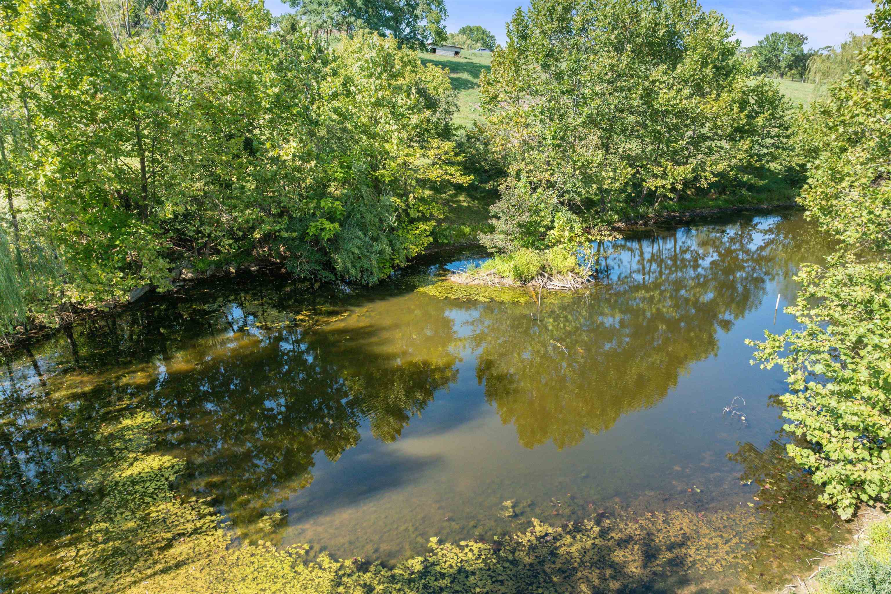 331 Whiskey Creek Rd