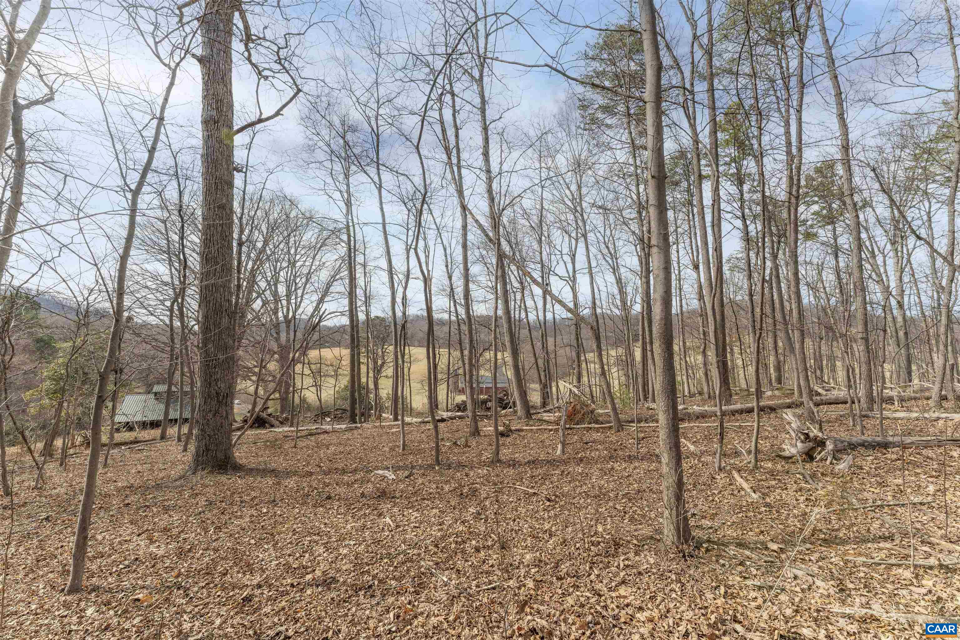 An elevated Bundoran Farm lot with a level homesite located among a mature stand of hardwoods with pastoral winter views across the farm's bucolic rolling hills.  At the foot of Tom Mountain, this parcel is conveniently located to one of the best trails of the farm’s 14 acres trail system. A strong well and most of the driveway (community maintained) are already in place giving a buyer a head start on the building process. Tucked away in the secluded Edge Valley, one of the county’s prettiest areas, the parcel is shielded from road noise, yet only 15 minutes to town.  A true rarity!