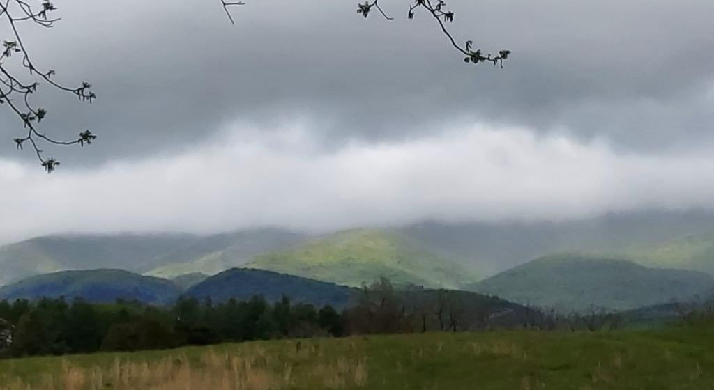 581 Oak Grove Church Rd