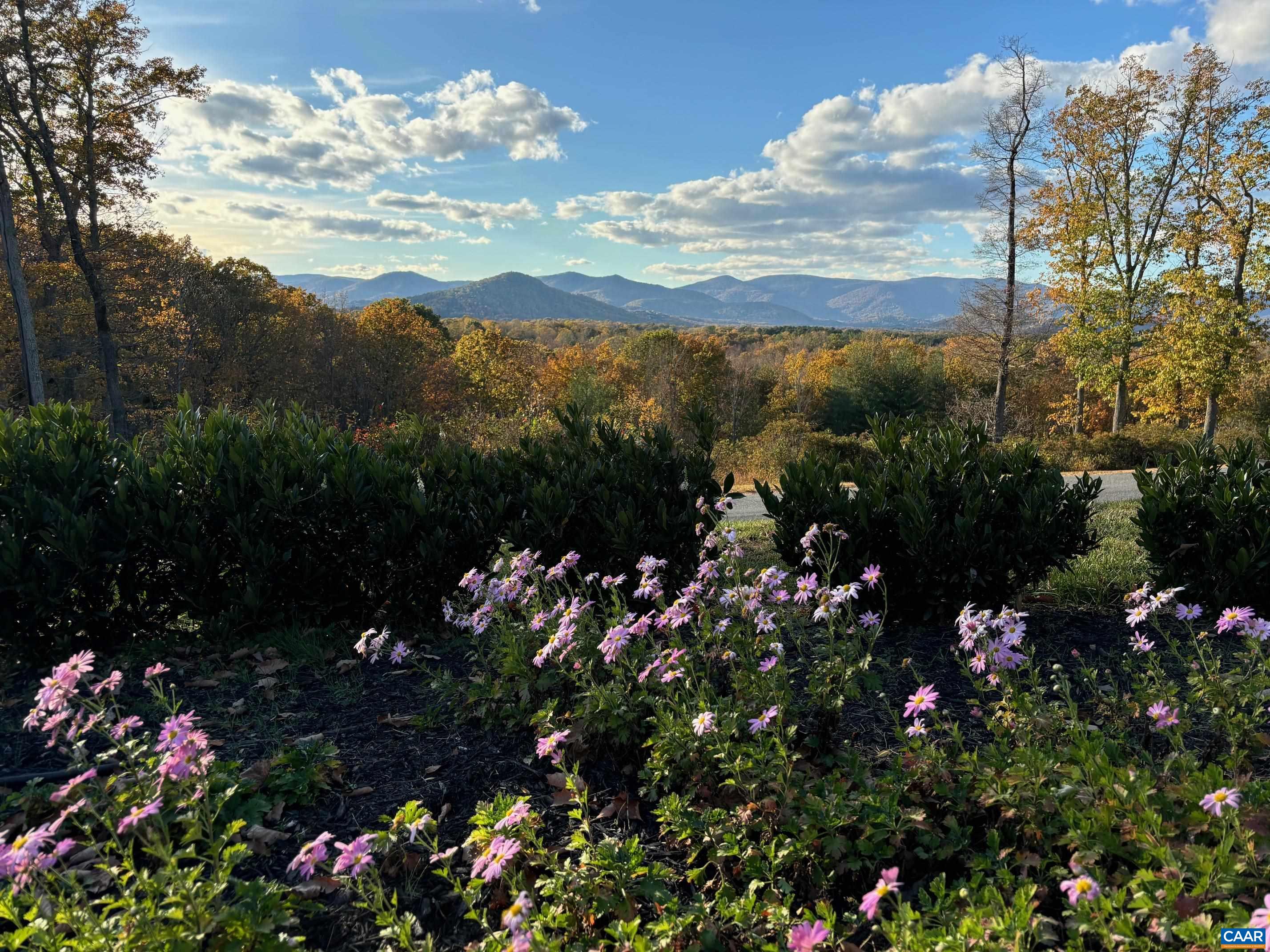 Spectacular protected panoramic Blue Ridge Mtn. views can be enjoyed from every room in this renovated & expanded custom home. Professionally landscaped 4.52 acre lot w/ paths leading to a charming gazebo. The large patio makes this property a wondrous relaxing environment around the firepit. 4BR/4.5BA residence beautifully accented w/ stone on the exterior- beaming w/ curb appeal. Interior has over 4,100 sq.ft. of living space over 3 levels. 46' long combo living room & sunroom w/ huge windows brings in natural light & takes advantage of the dramatic, ever-changing mountain scene. Views of the deep woods in the back which end in walking paths along a stream can also be seen from most areas of the main floor. Additional Special Features: A fully outfitted gourmet kitchen w/ stainless steel appliances, granite countertops & high end cabinetry; a main level primary suite w/ his & hers walk in closets & baths; high ceilings w/ 9 piece crown molding & tall doorways; a large office area w/ extensive cabinetry & ensuite bath; hardwood & slate flooring; built-ins galore; private rear deck; a fenced vegetable garden & even a shuffleboard court! Truly impressive & offers infinite qualities of fine living! 20 mins to Charlottesville & UVA.