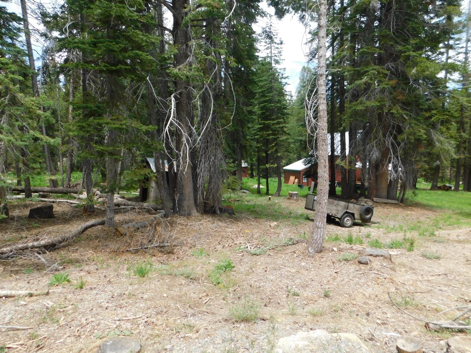 282 Little Buck
