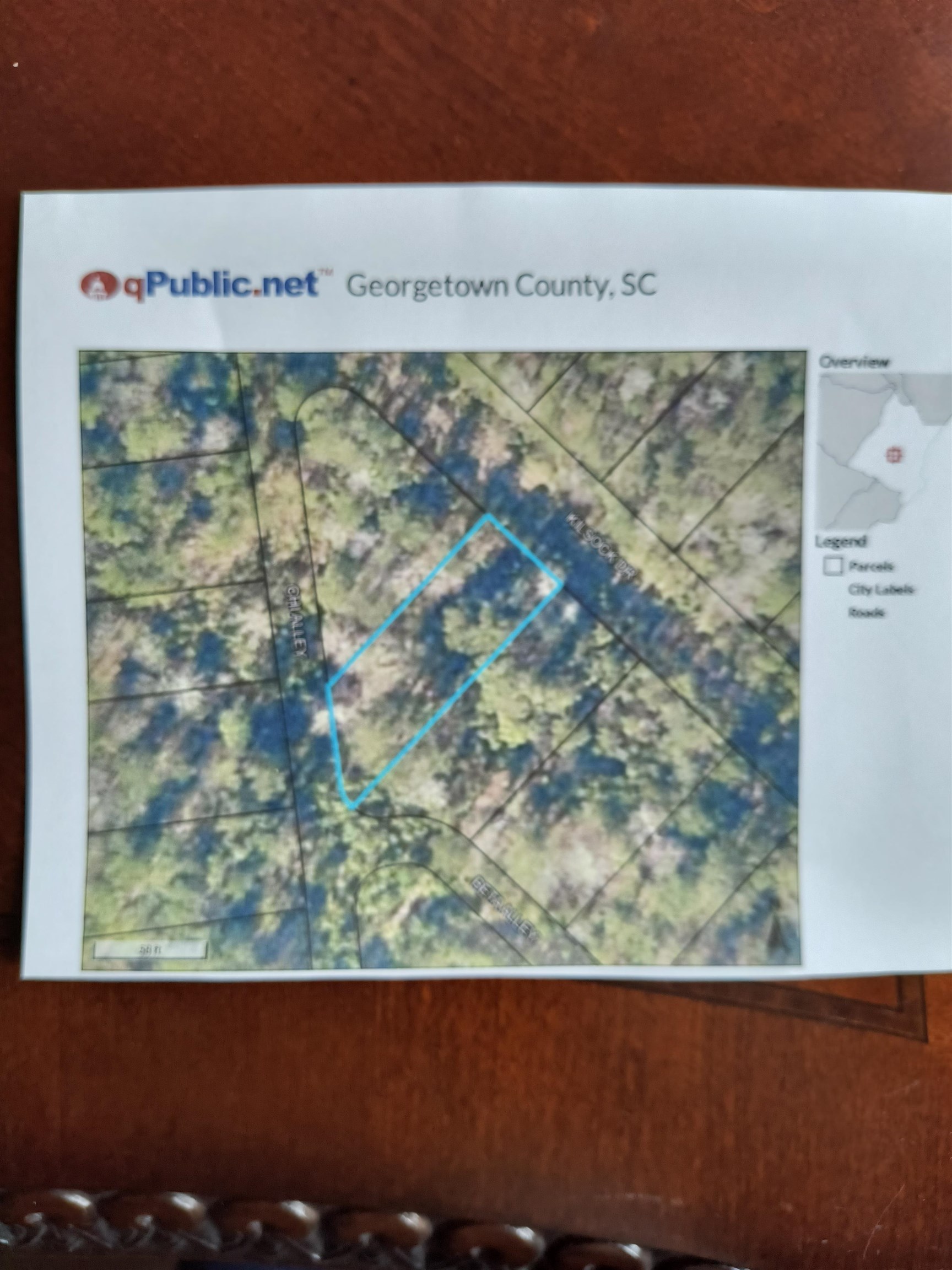 Lot 1050 Kilsock Dr. Georgetown, SC 29440