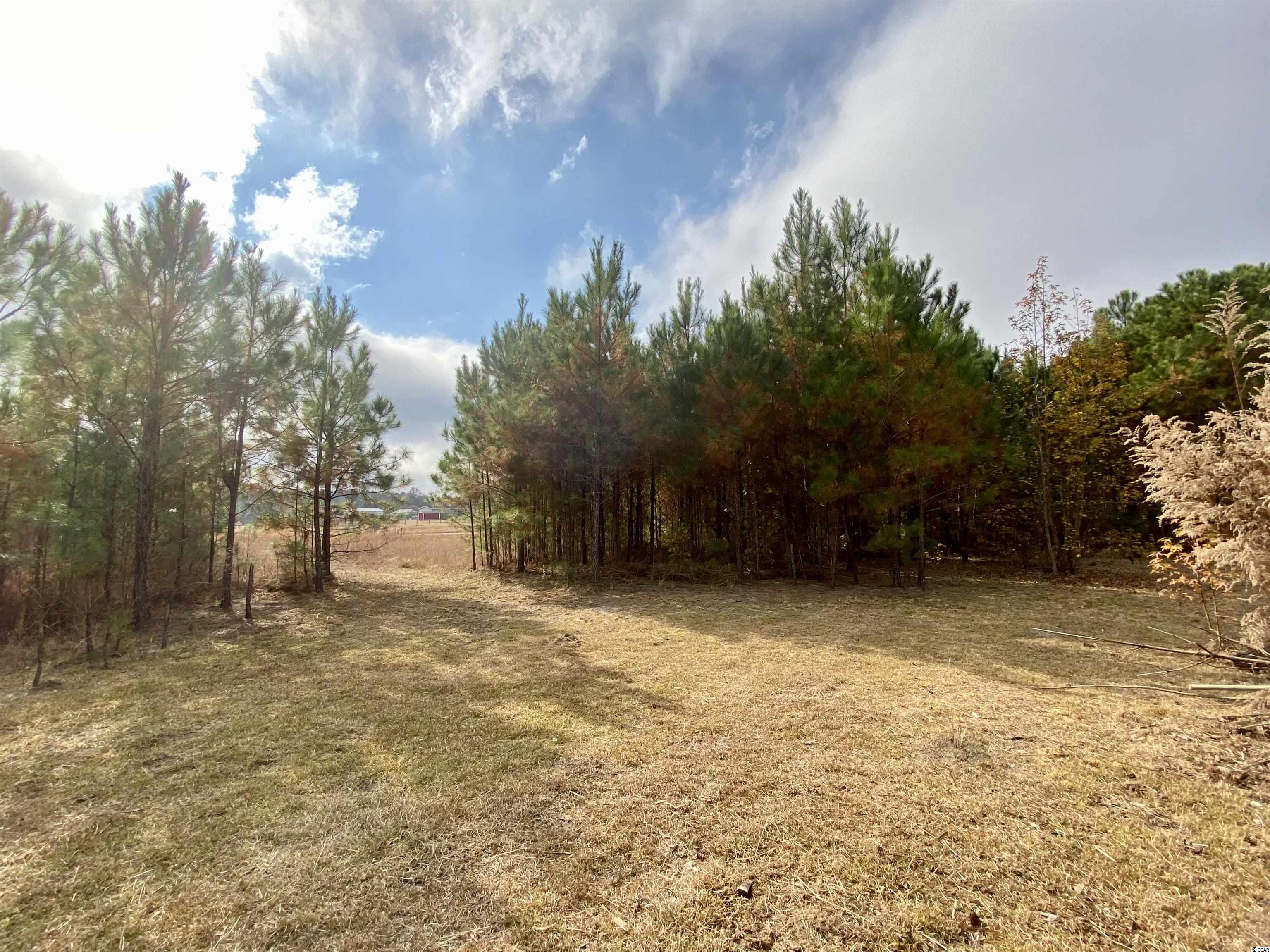 1373 Tarton Dr. Loris, SC 29569