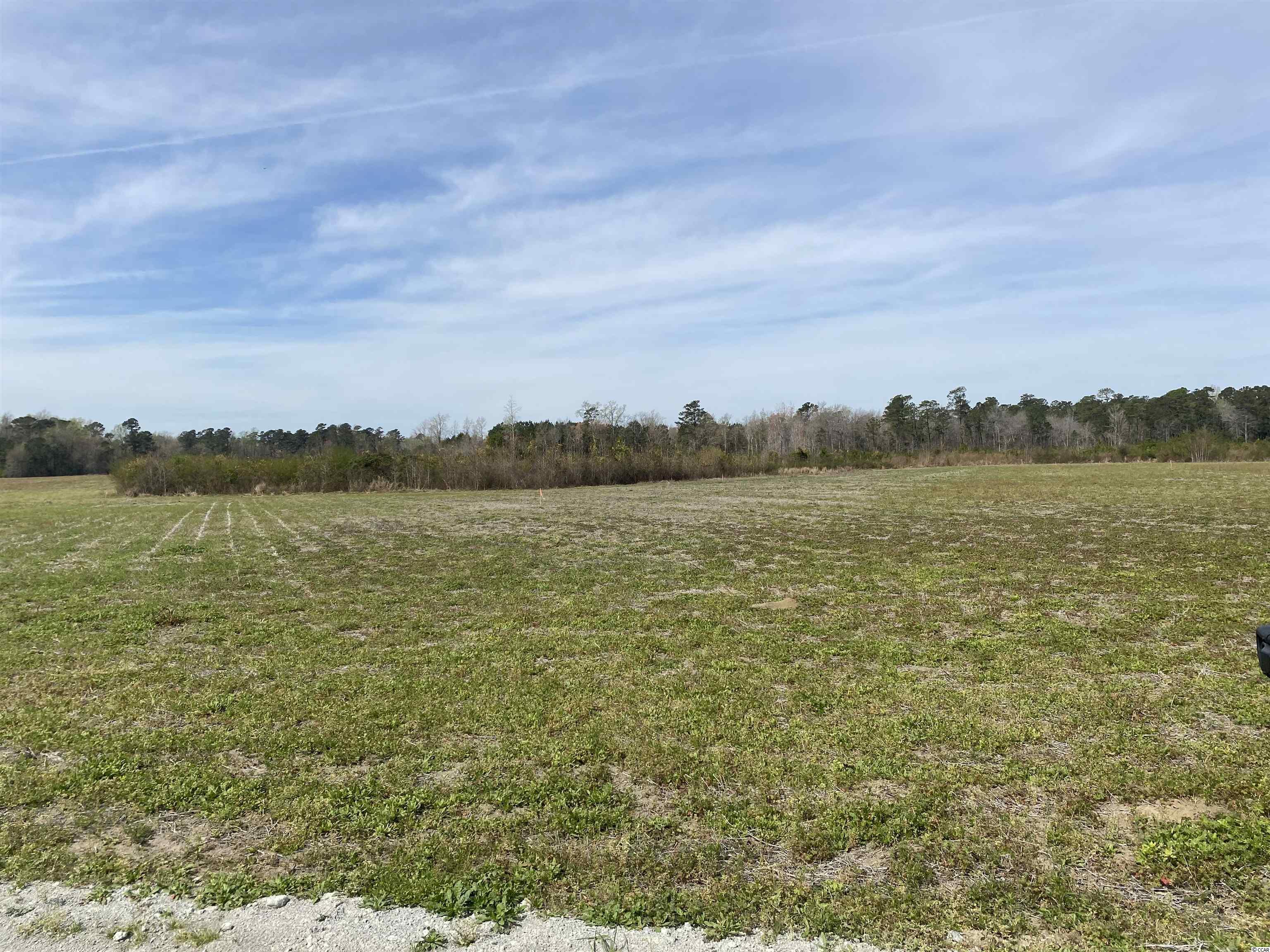 TBD Dove Rd. Loris, SC 29569