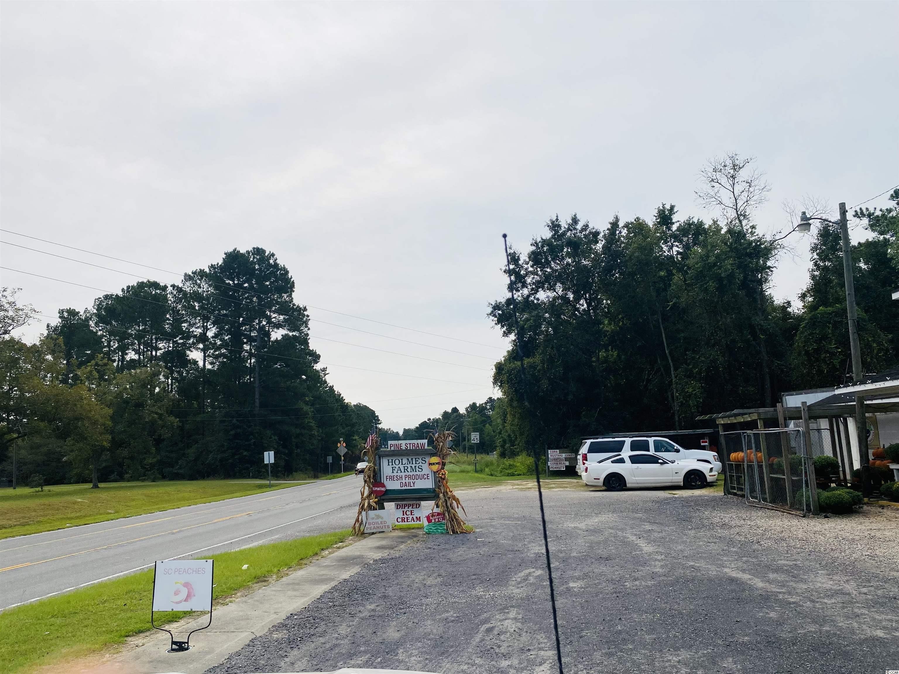 TBD Red Bluff Rd., Loris, South Carolina image 10