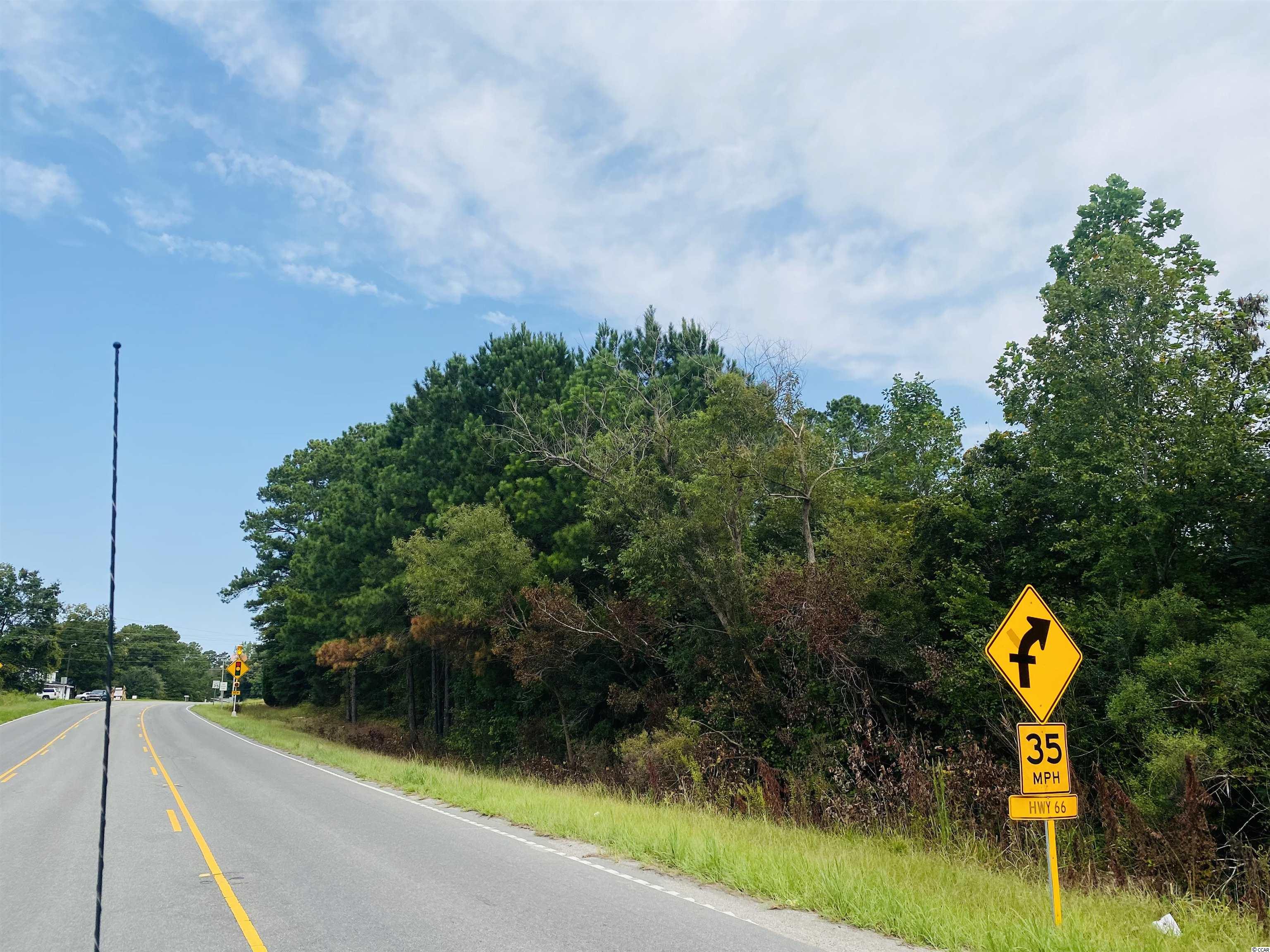 TBD Red Bluff Rd., Loris, South Carolina image 13