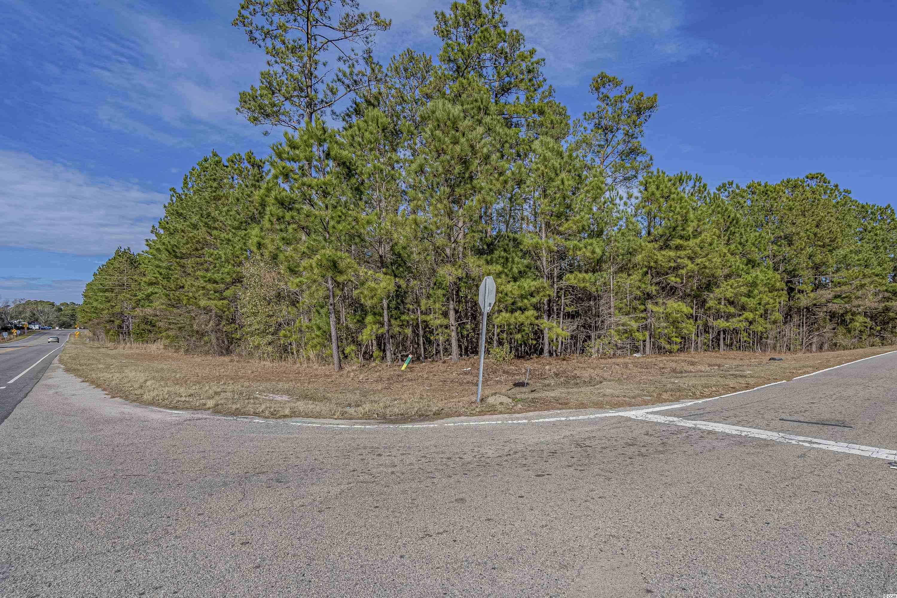 TBD Red Bluff Rd., Loris, South Carolina image 14