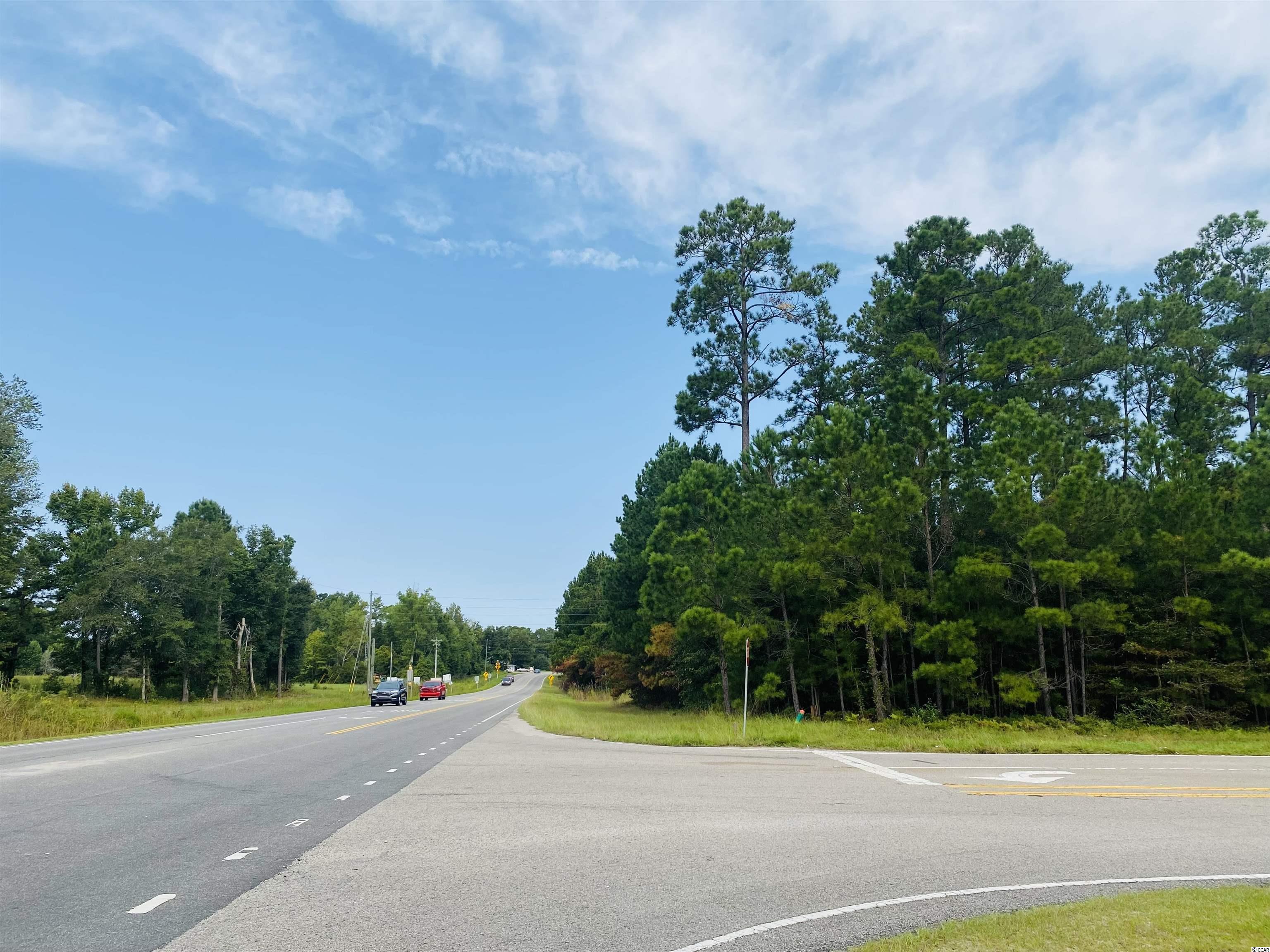 TBD Red Bluff Rd., Loris, South Carolina image 15