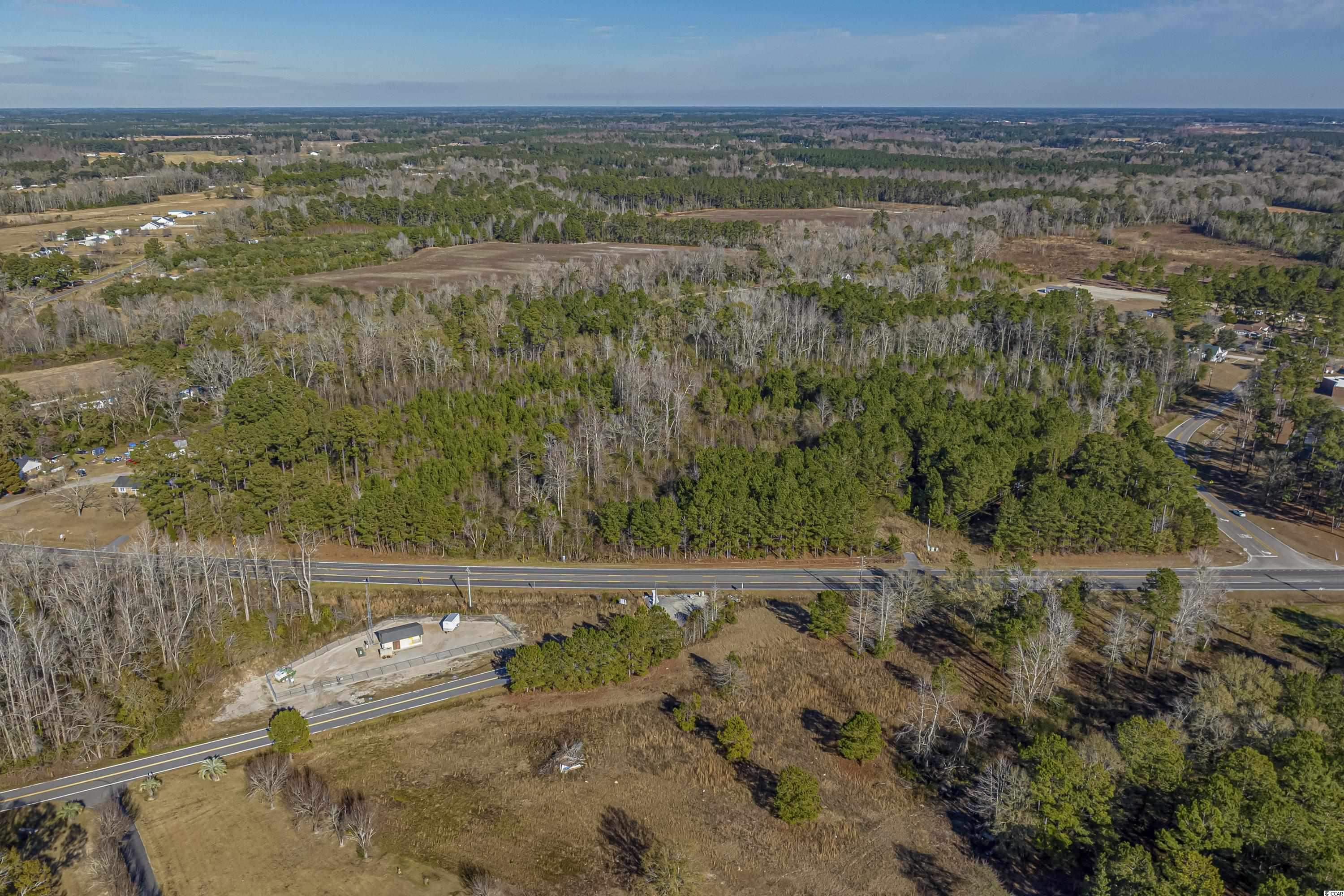 TBD Red Bluff Rd., Loris, South Carolina image 2