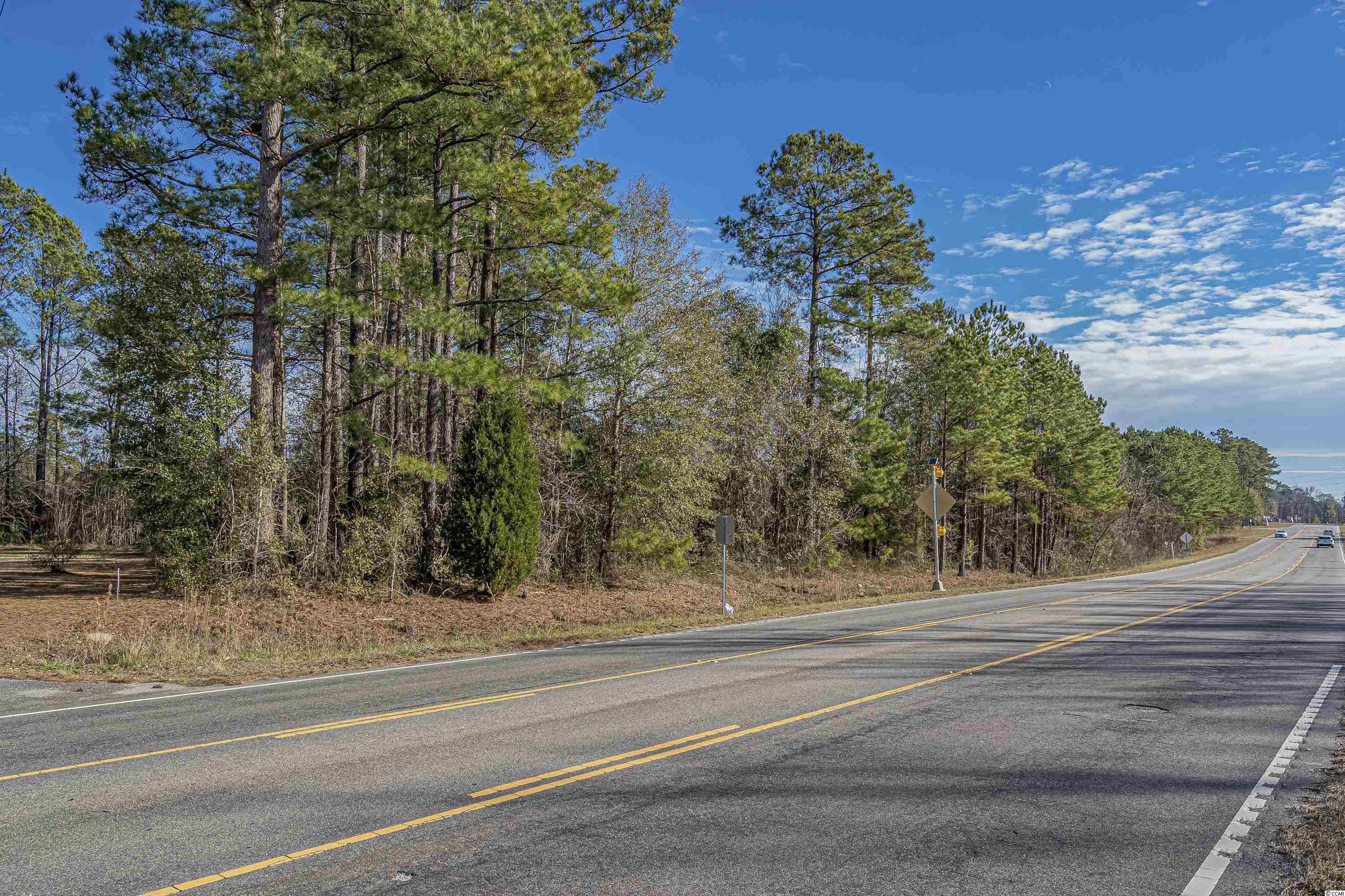 TBD Red Bluff Rd., Loris, South Carolina image 20