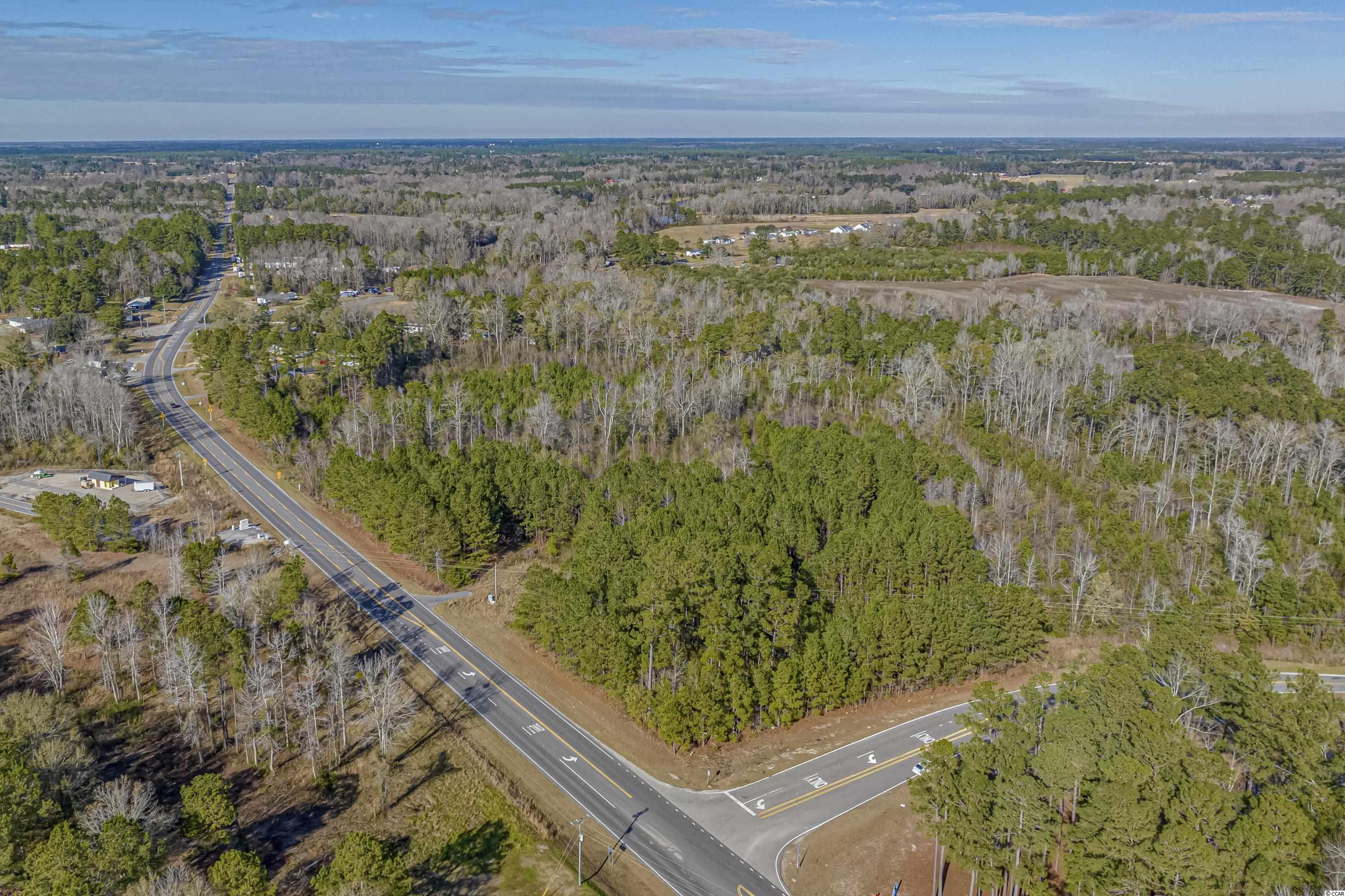 TBD Red Bluff Rd., Loris, South Carolina image 3