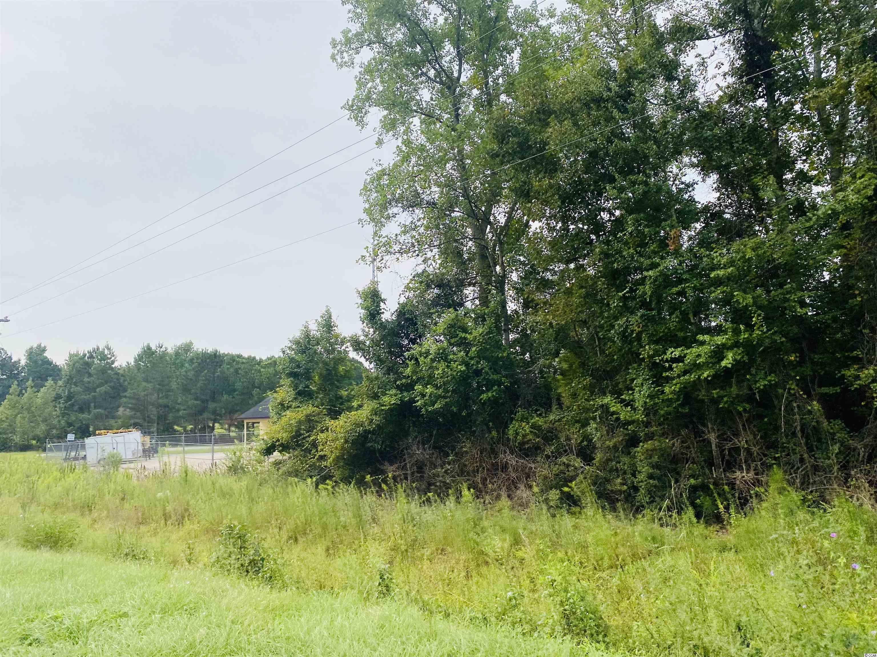 TBD Red Bluff Rd., Loris, South Carolina image 8