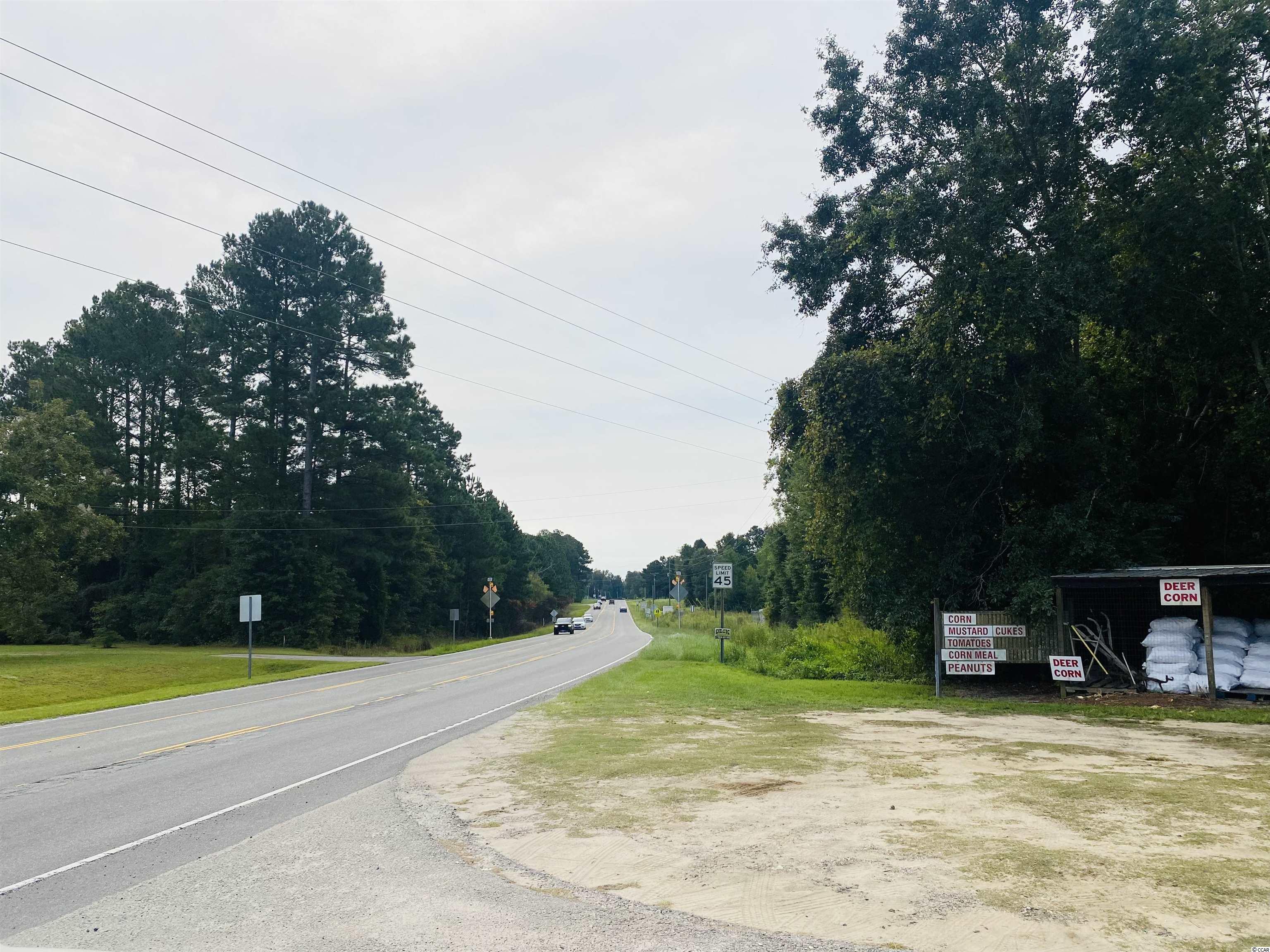TBD Red Bluff Rd., Loris, South Carolina image 9