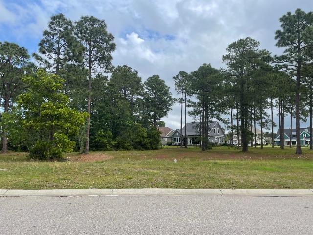 1424 Hydrangea Dr. Myrtle Beach, SC 29579
