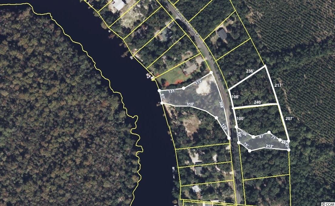TBD Francis Marion Dr., Georgetown, South Carolina image 1