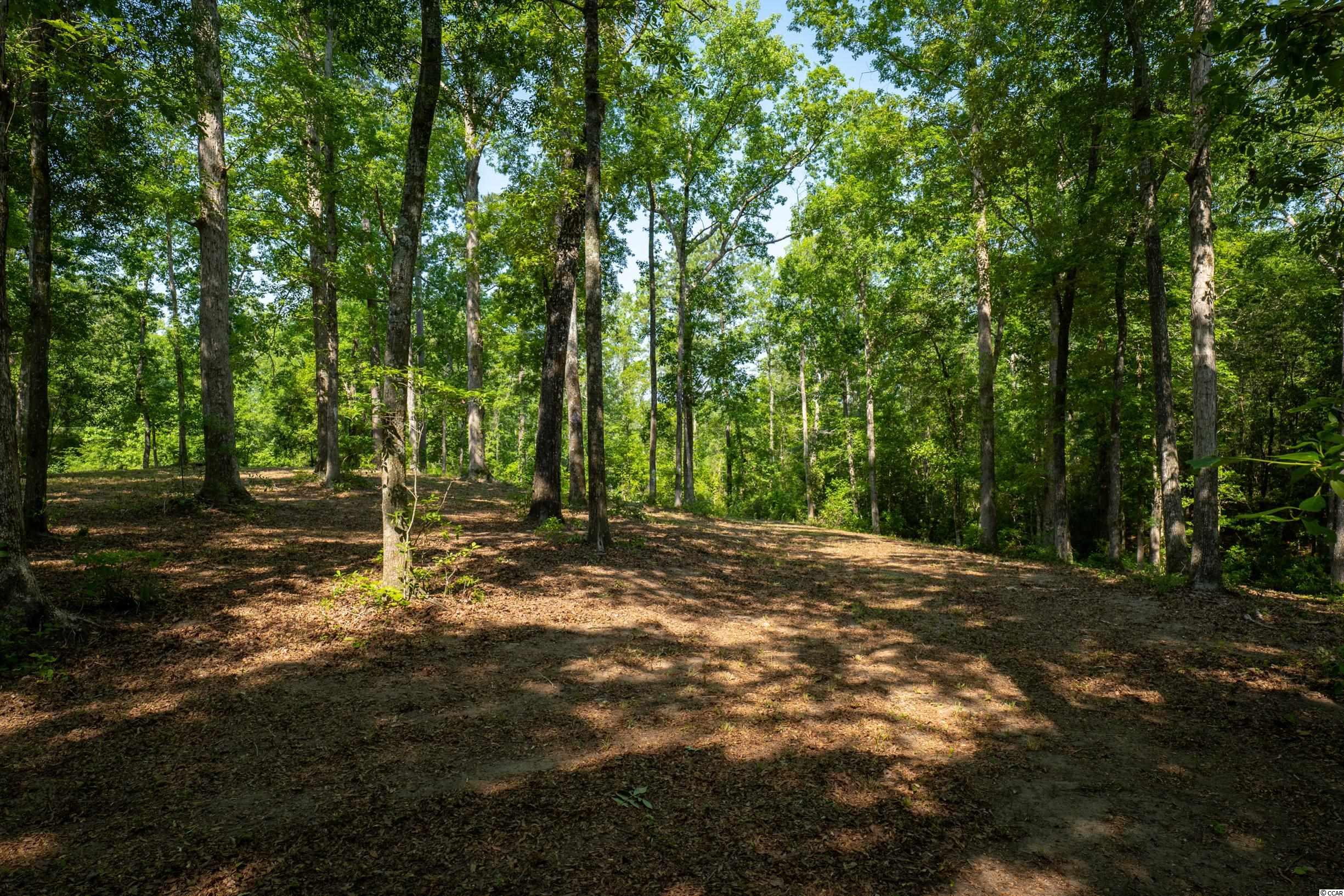TBD Francis Marion Dr., Georgetown, South Carolina image 10