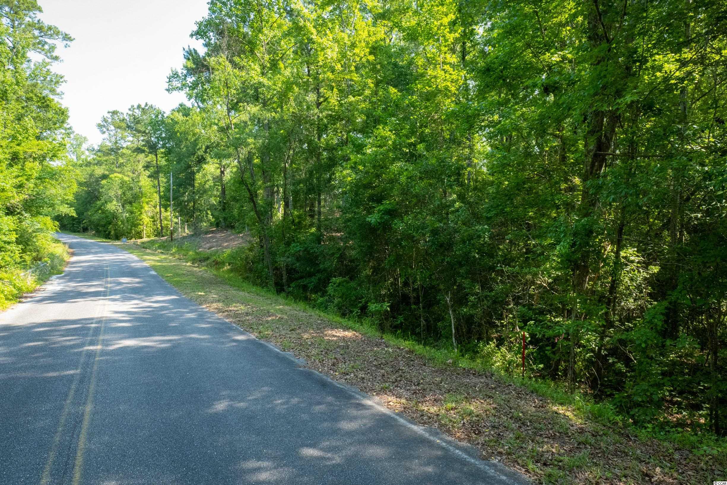 TBD Francis Marion Dr., Georgetown, South Carolina image 12