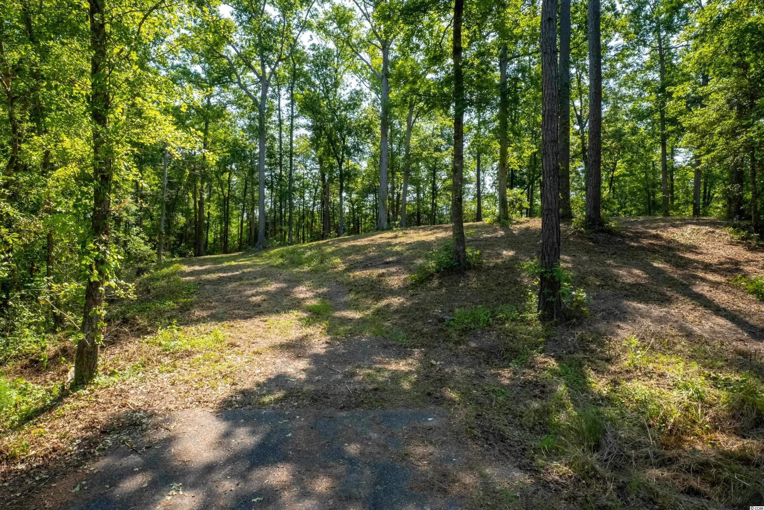 TBD Francis Marion Dr., Georgetown, South Carolina image 14