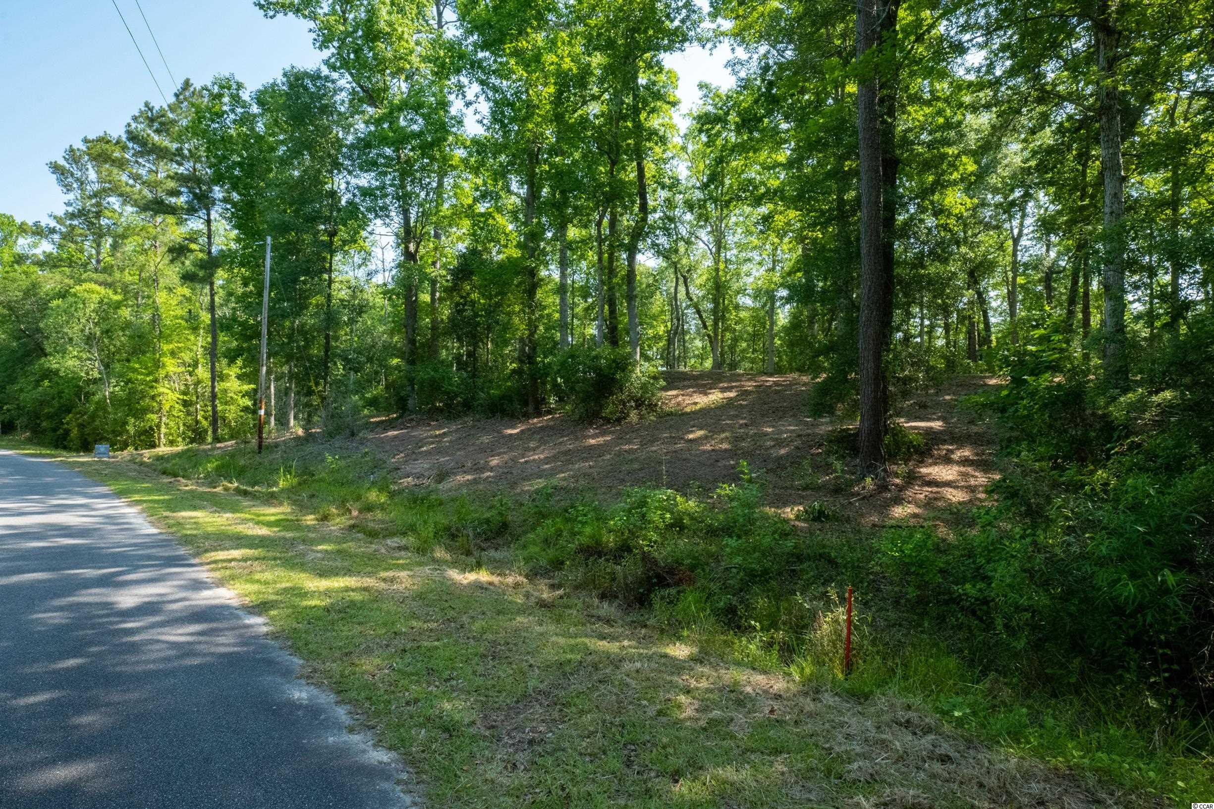TBD Francis Marion Dr., Georgetown, South Carolina image 4