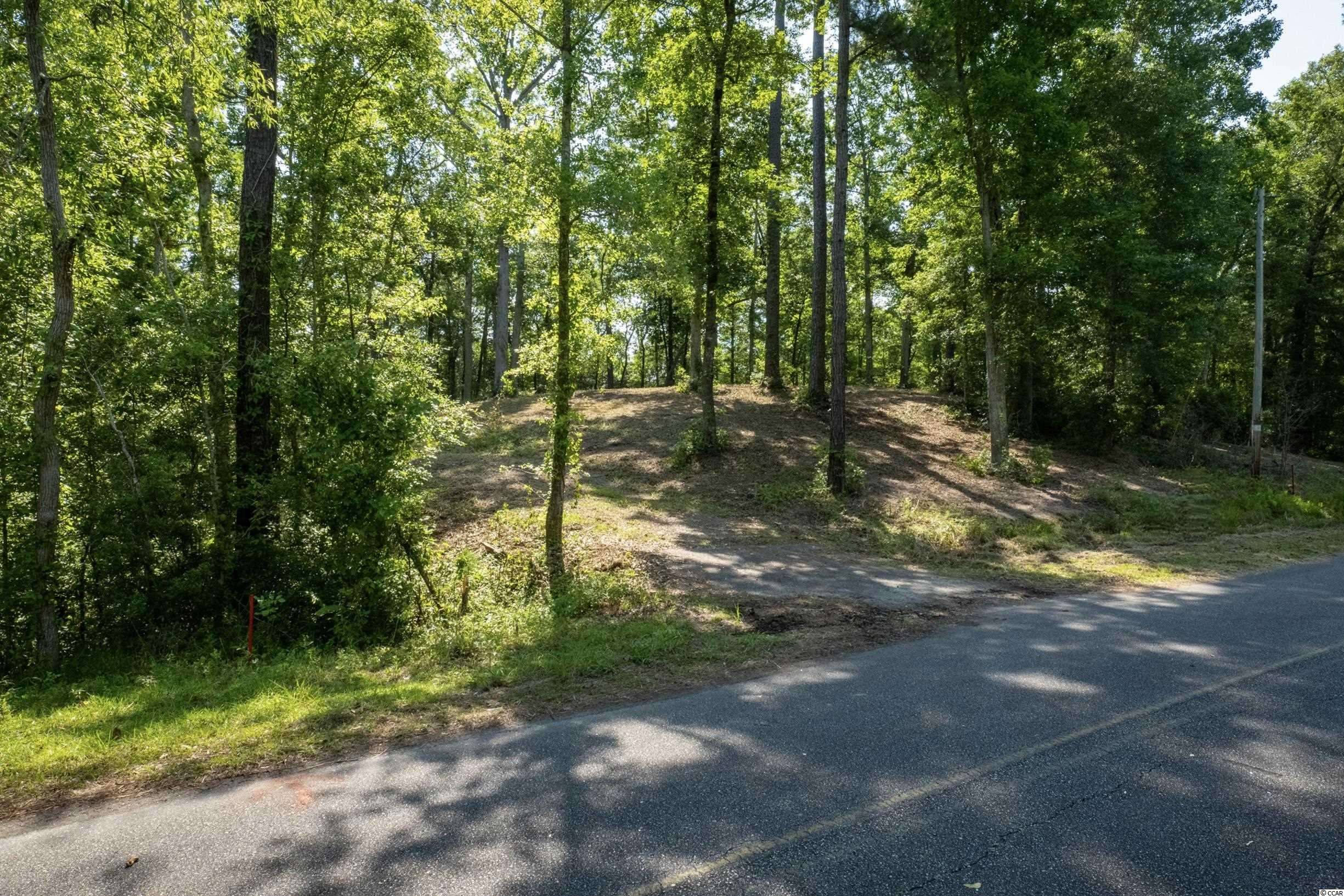 TBD Francis Marion Dr., Georgetown, South Carolina image 8