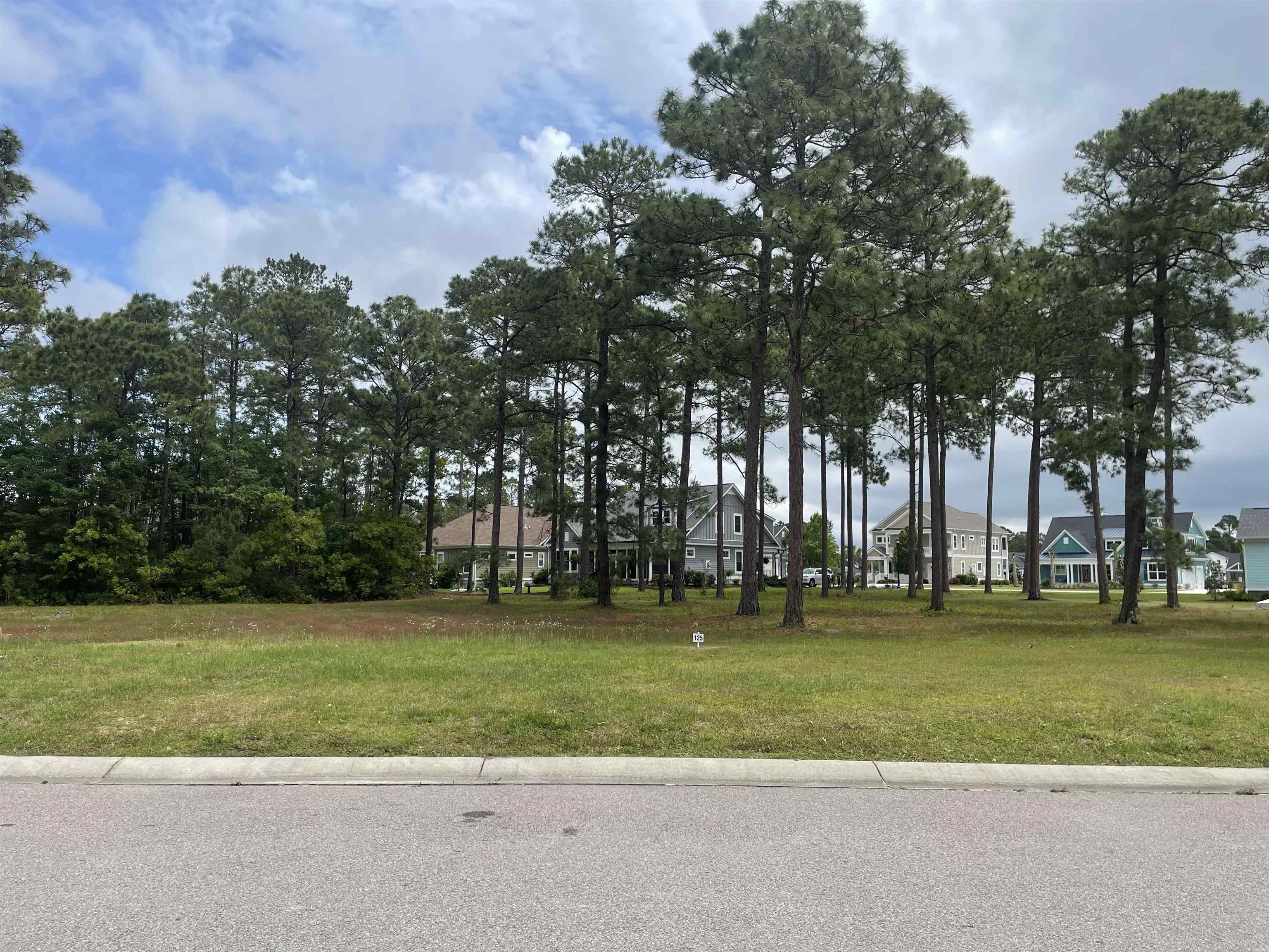 1420 Hydrangea Dr. Myrtle Beach, SC 29579