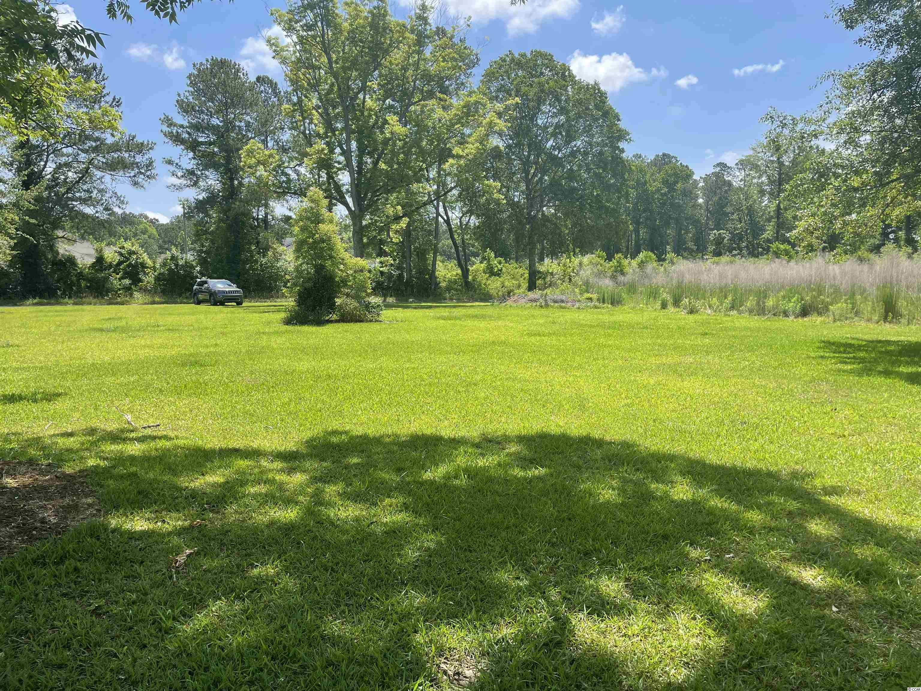 TBD Sparrow Ln., Loris, South Carolina image 6