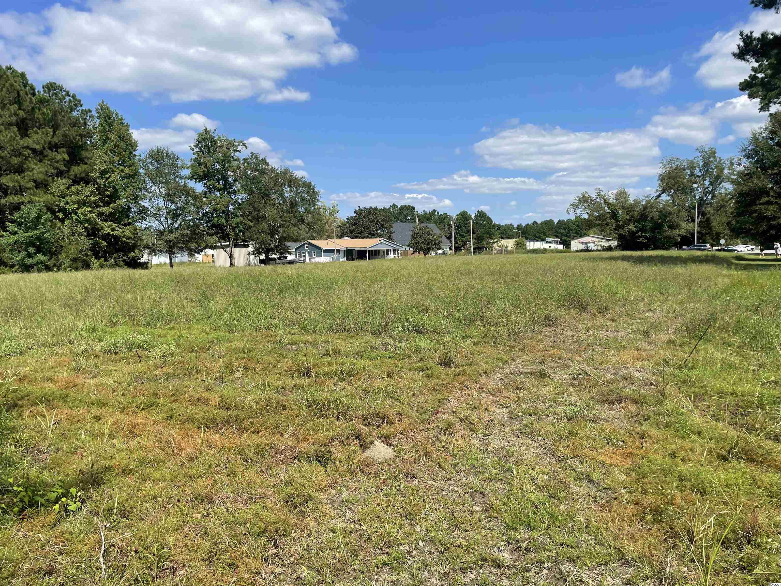 TBD Suggs St., Loris, South Carolina image 13