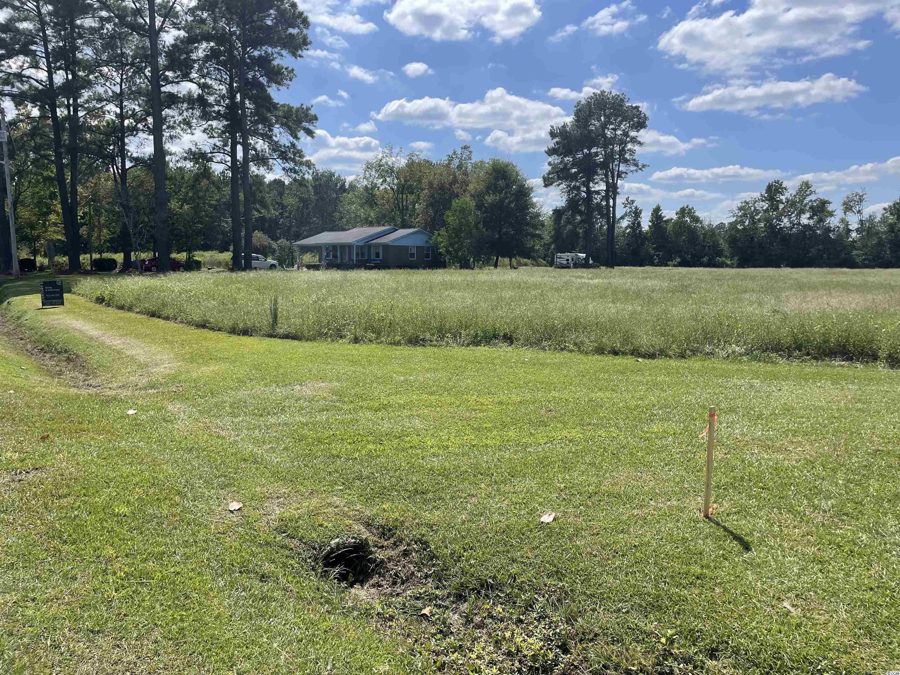 TBD Suggs St., Loris, South Carolina image 3