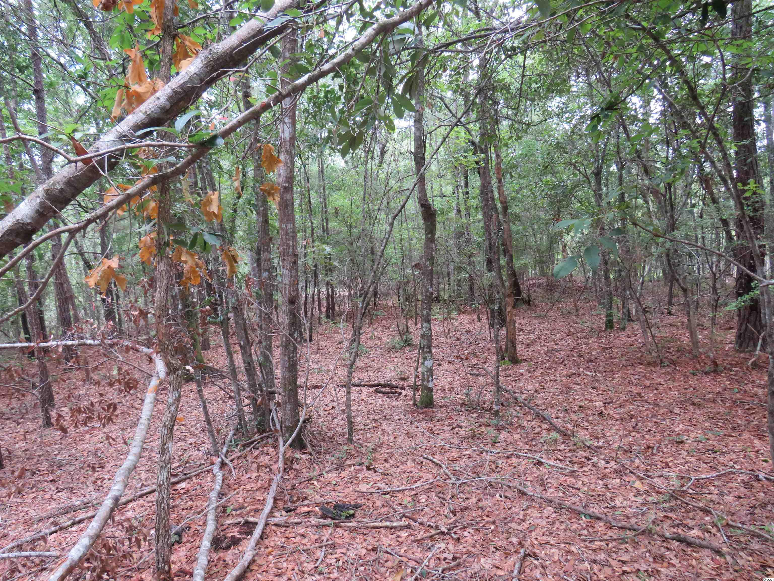 T.B.D. Eva Rd., Little River, South Carolina image 12