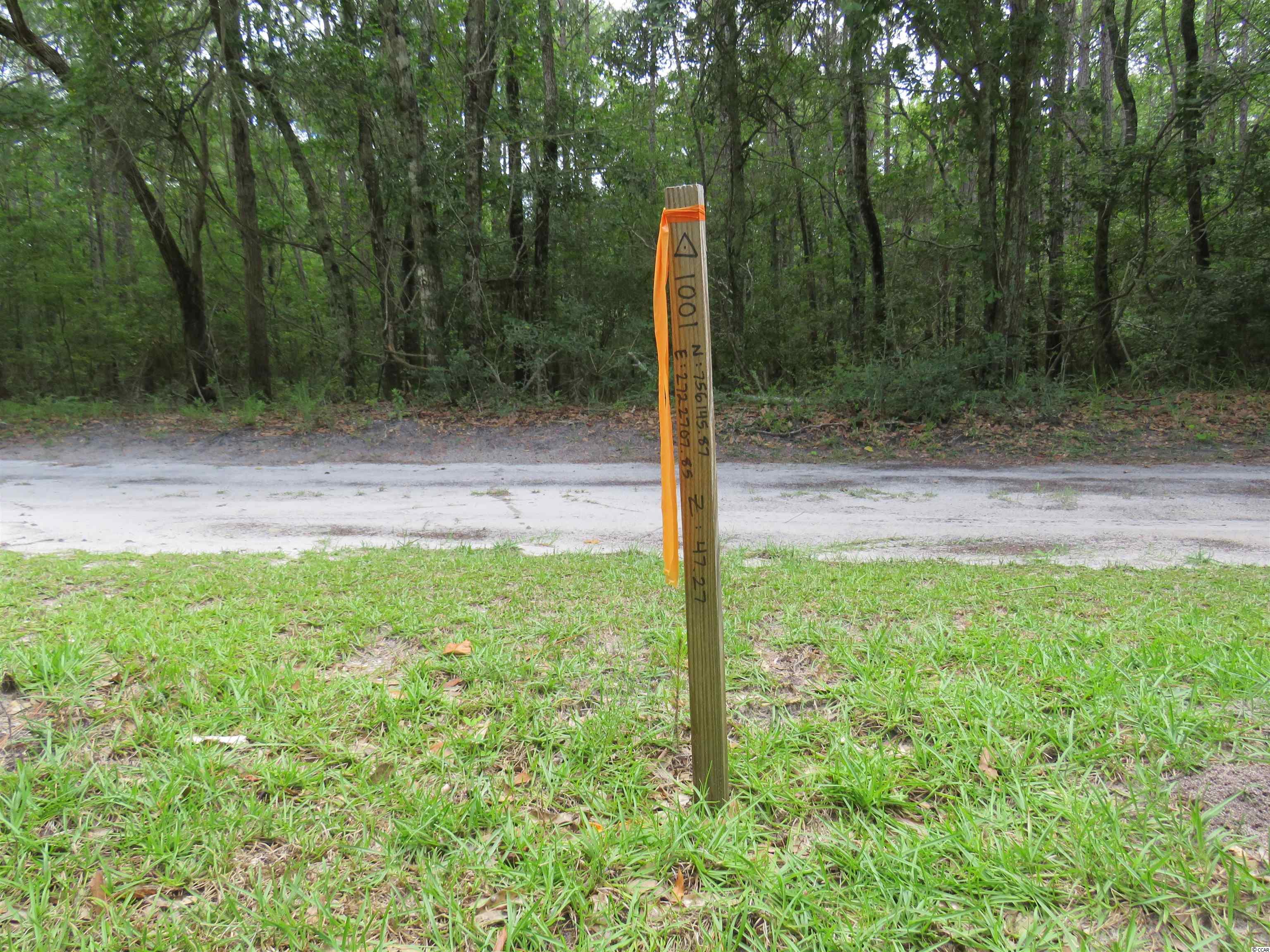 T.B.D. Eva Rd., Little River, South Carolina image 17