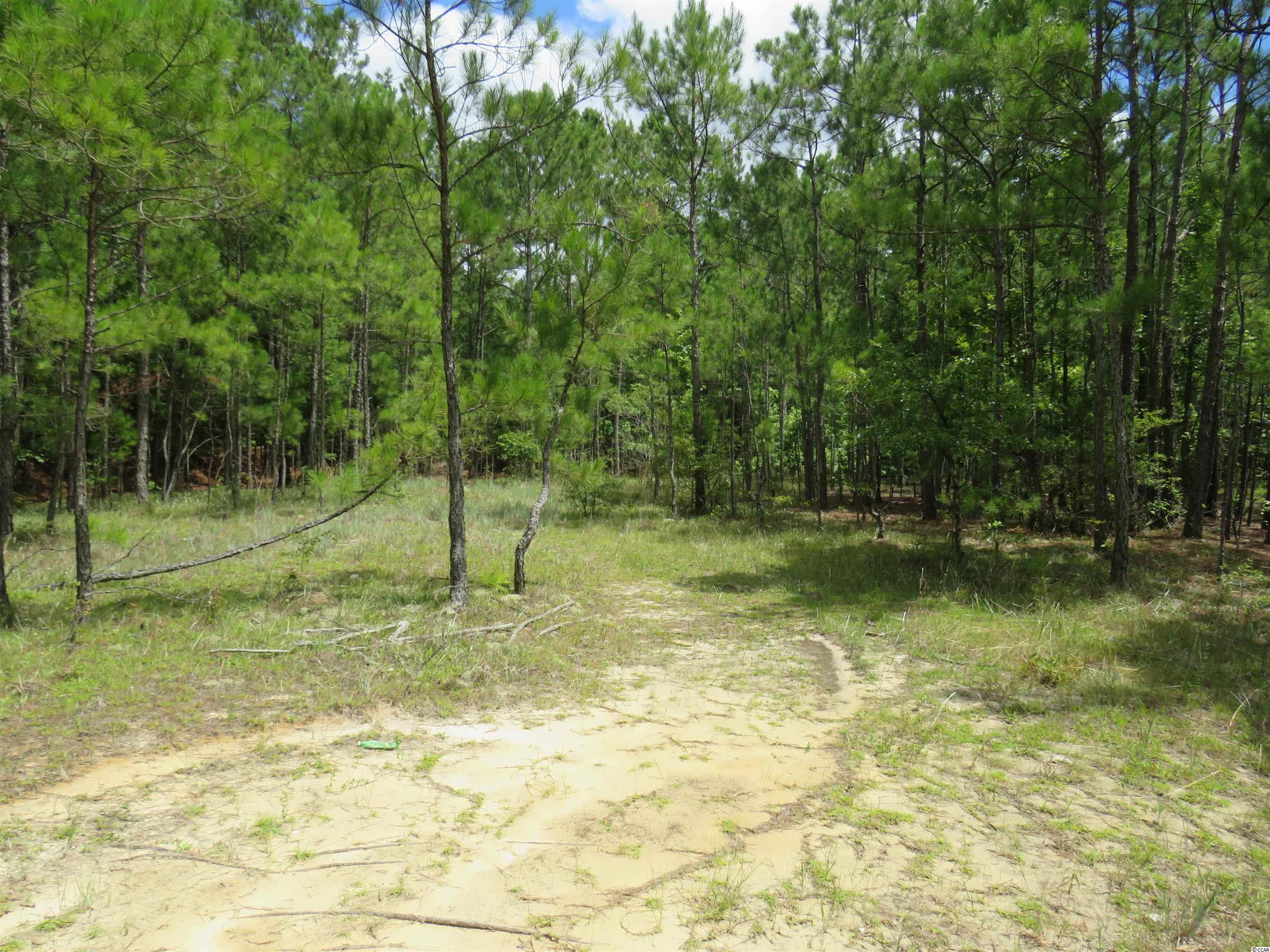 T.B.D. Eva Rd., Little River, South Carolina image 5