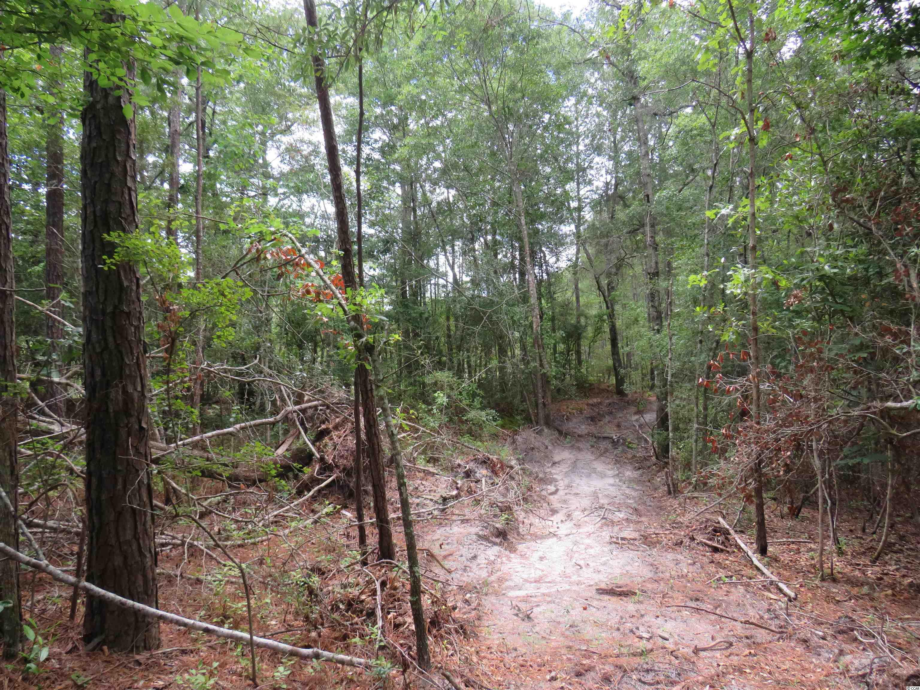 T.B.D. Eva Rd., Little River, South Carolina image 9