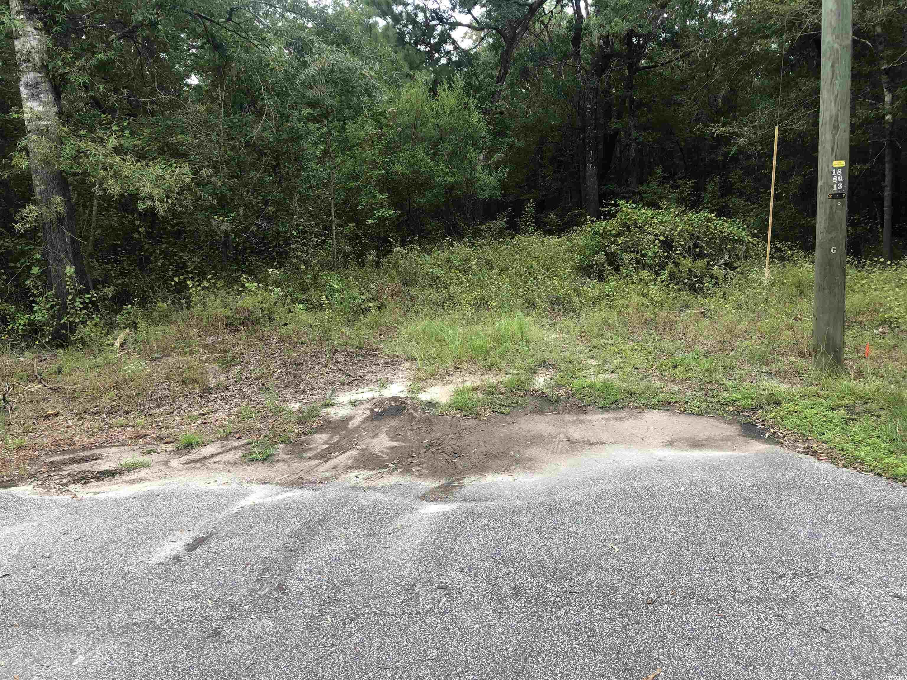TBD Waccamaw River Dr. Conway, SC 29526
