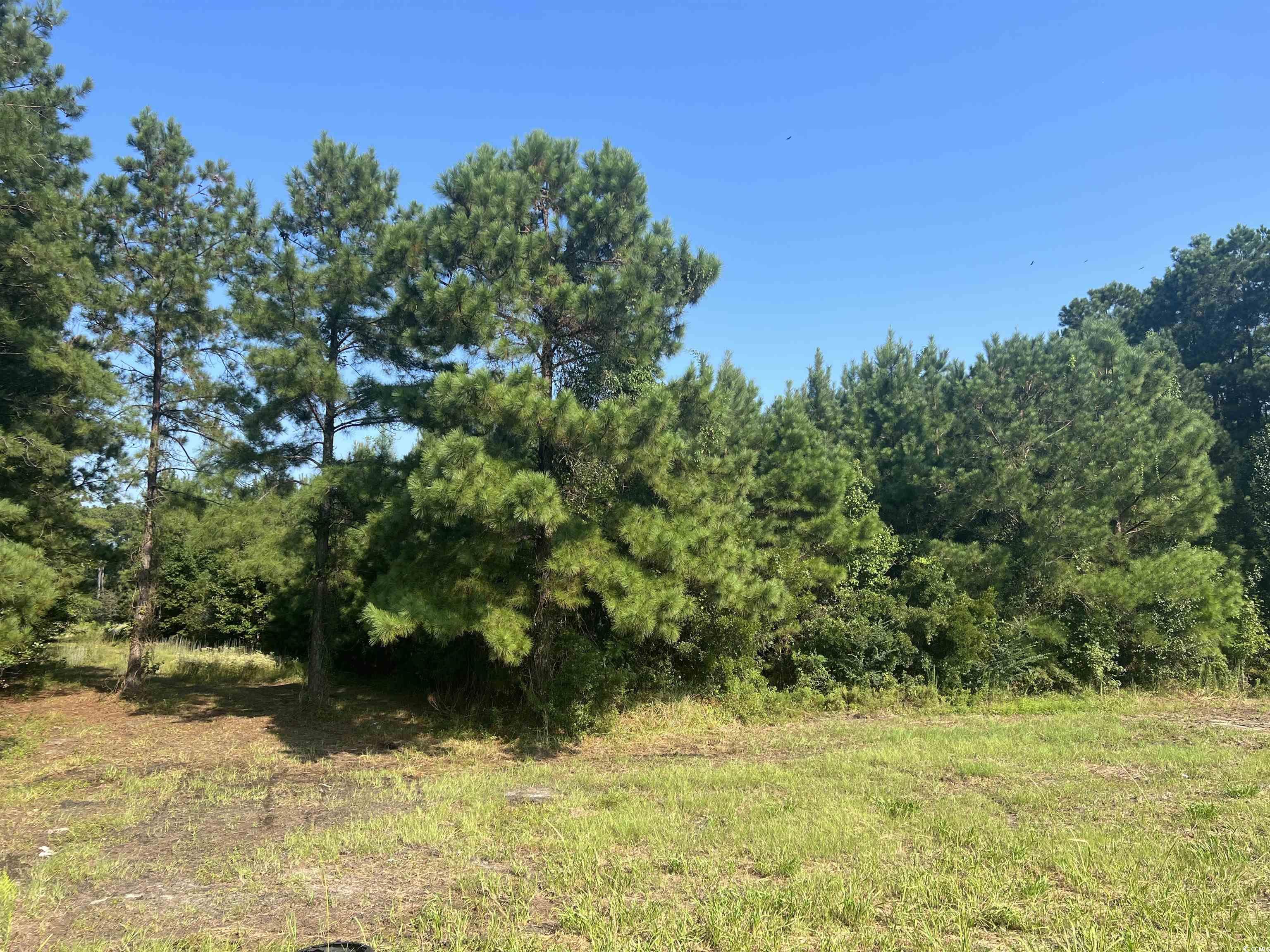 Lot 2 Highway 707, Myrtle Beach, Texas image 1