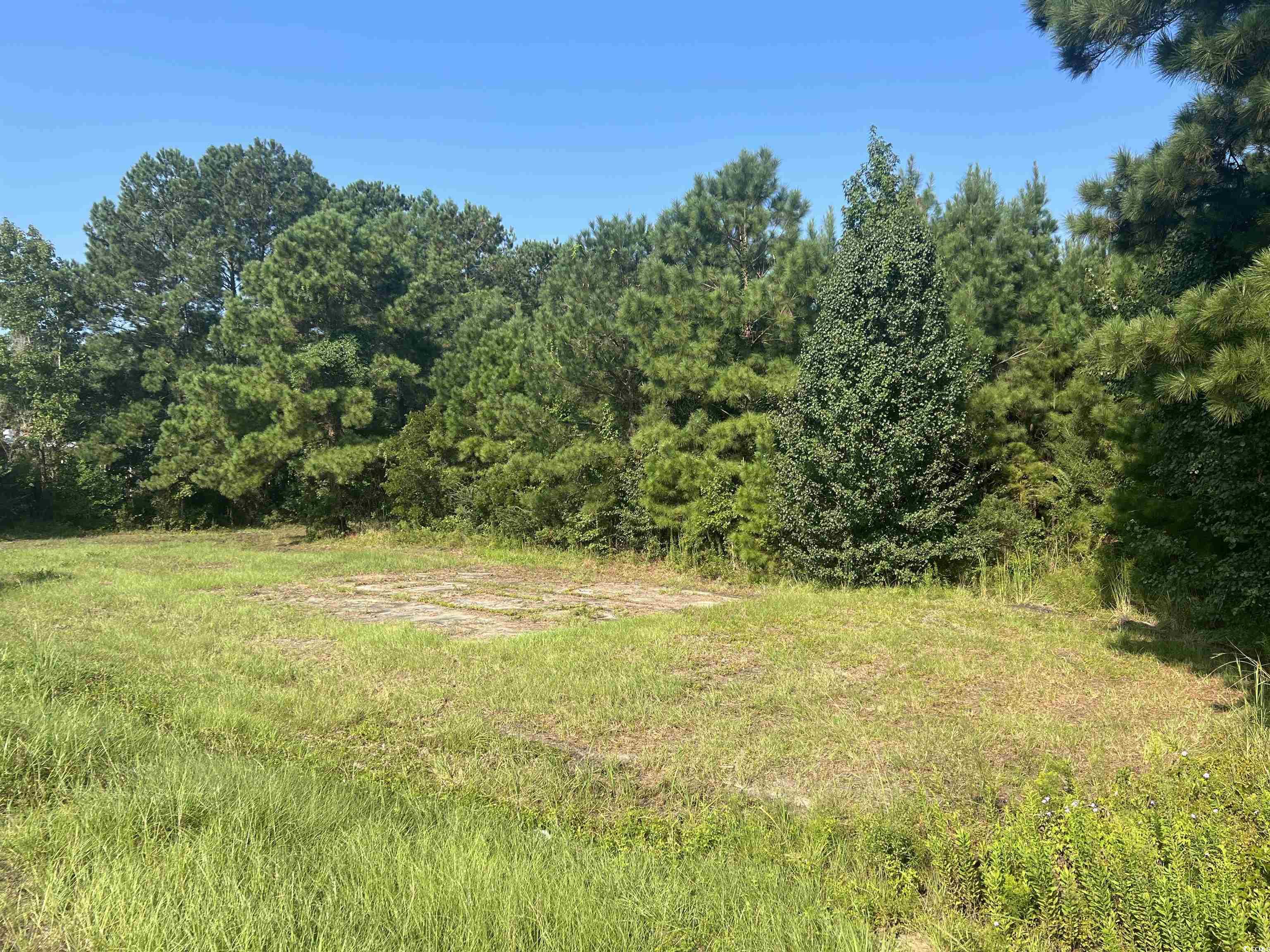 Lot 2 Highway 707, Myrtle Beach, Texas image 4