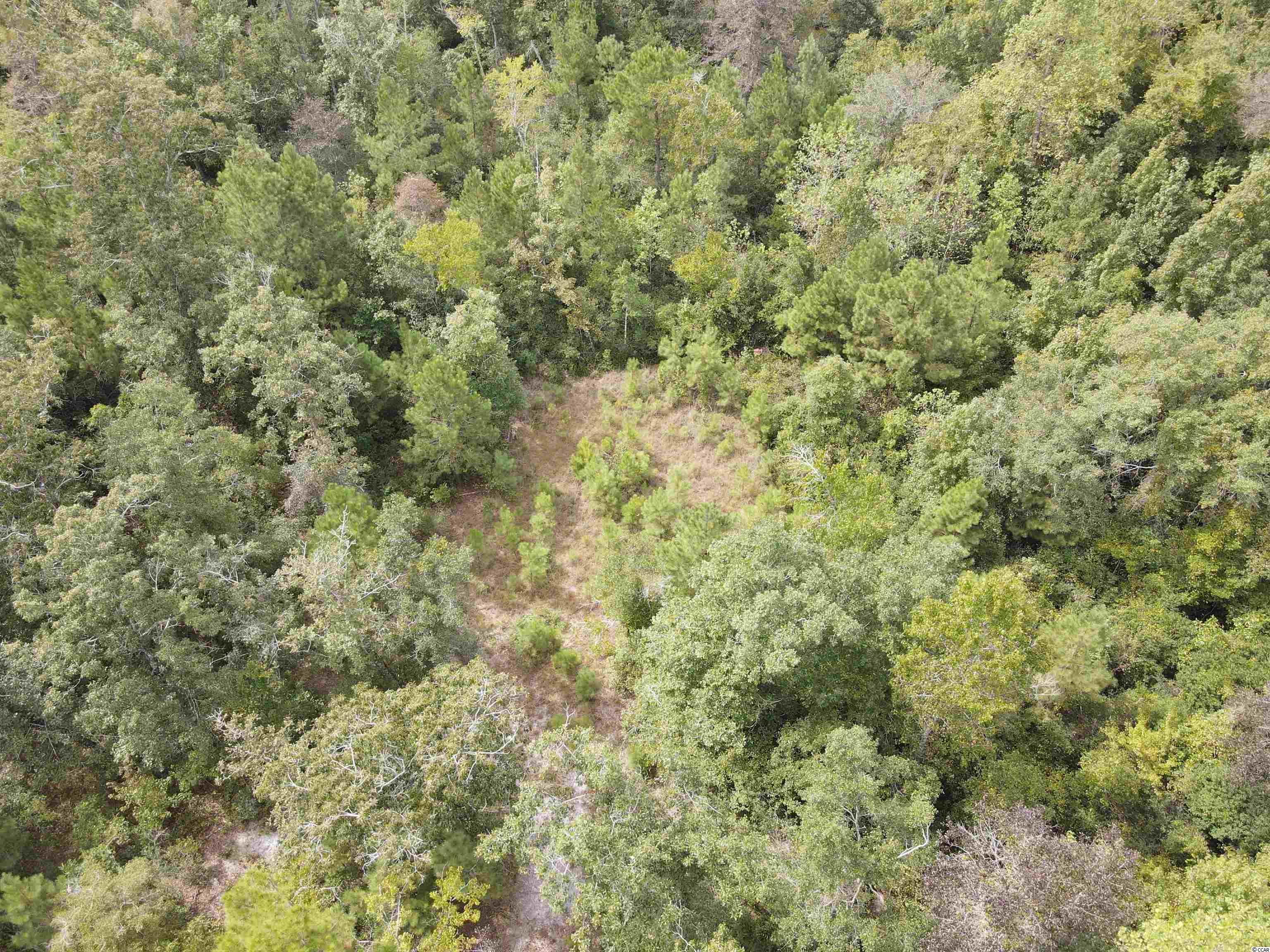 Lot 6 Rainbow Dr., Loris, South Carolina image 16